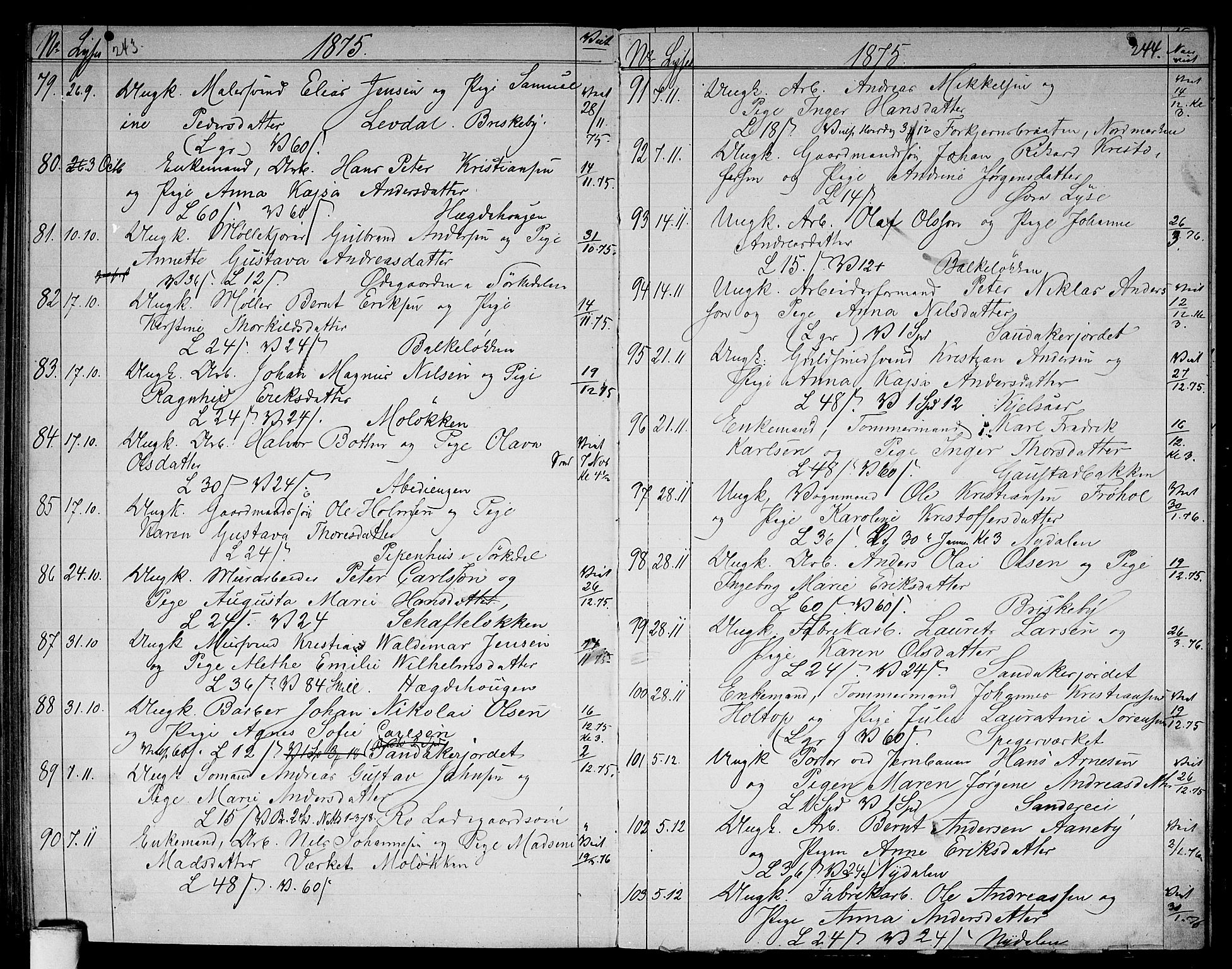 Vestre Aker prestekontor Kirkebøker, SAO/A-10025/G/Ga/L0002: Parish register (copy) no. I 2, 1871-1879, p. 243-244