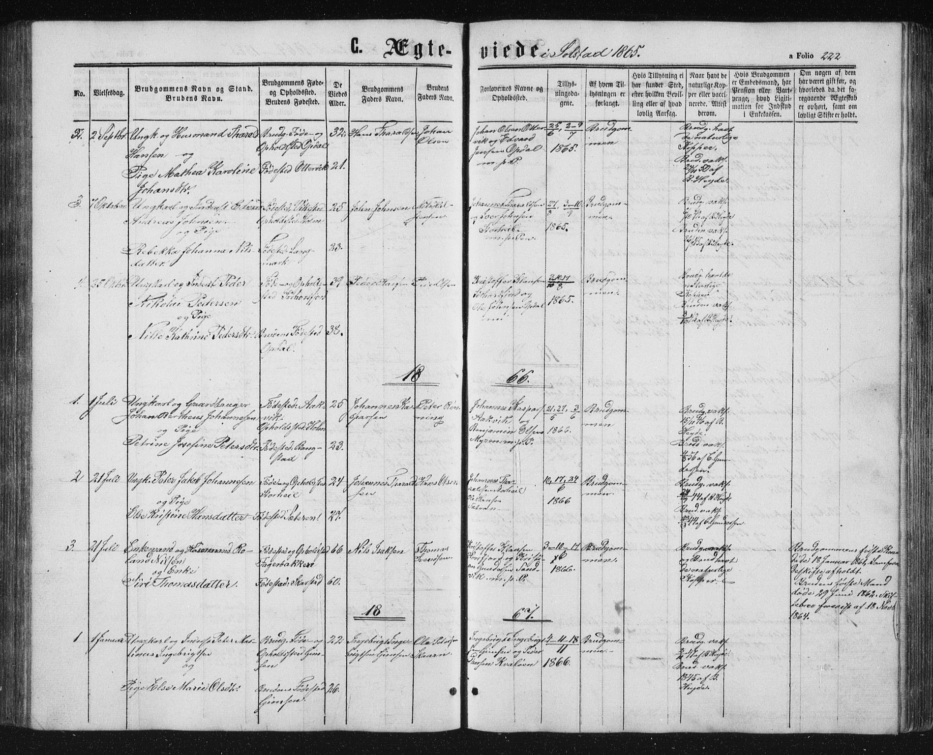 Ministerialprotokoller, klokkerbøker og fødselsregistre - Nordland, SAT/A-1459/810/L0159: Parish register (copy) no. 810C02 /2, 1863-1883, p. 222