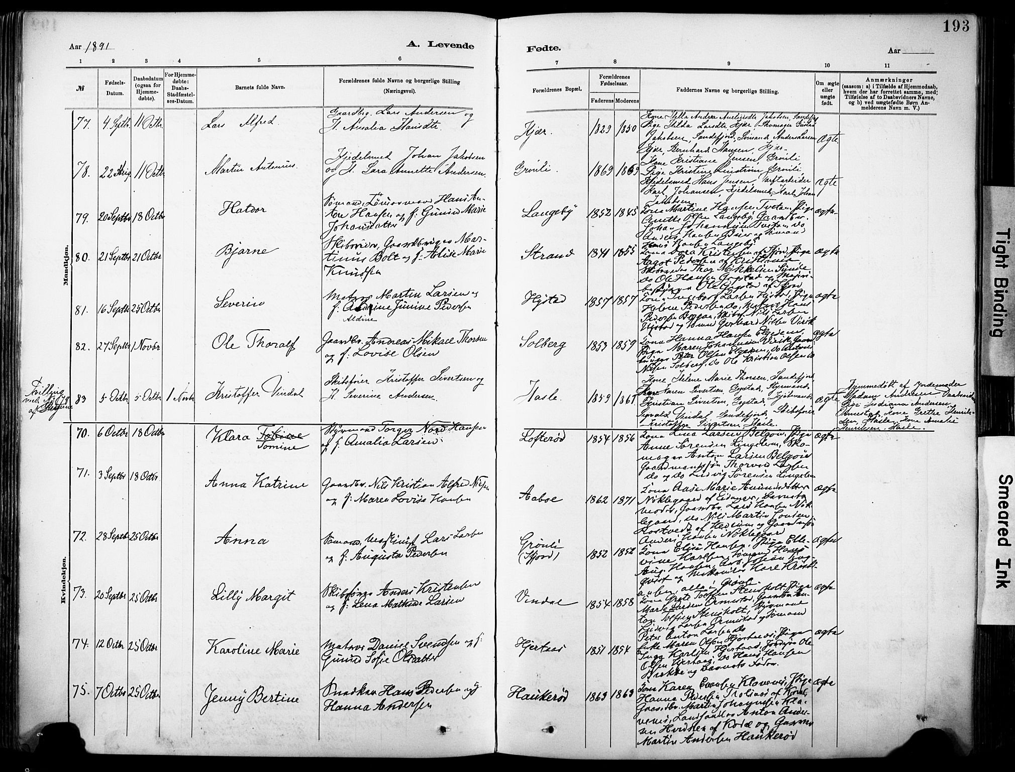 Sandar kirkebøker, AV/SAKO-A-243/F/Fa/L0012: Parish register (official) no. 12, 1883-1895, p. 193