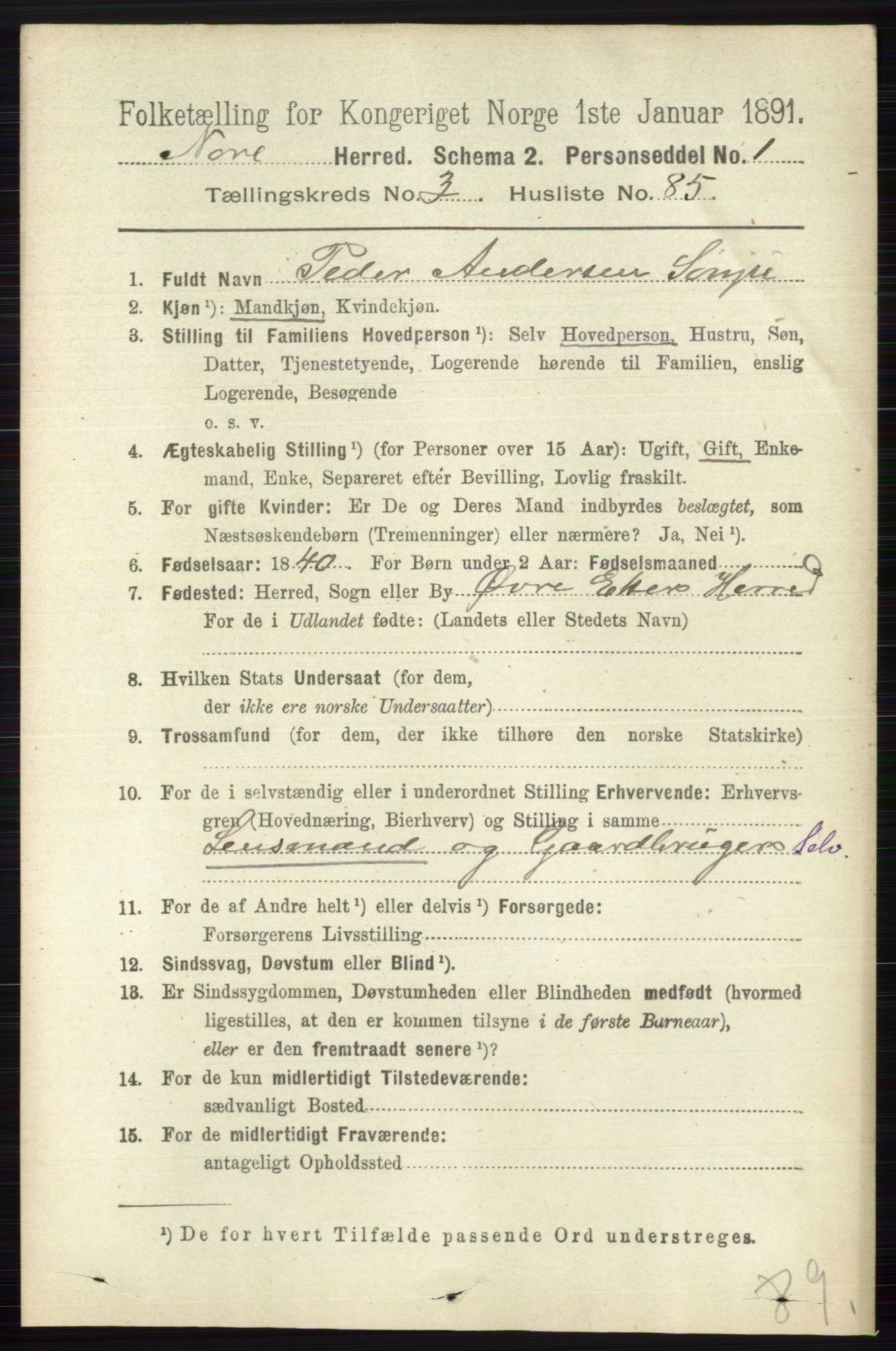 RA, 1891 census for 0633 Nore, 1891, p. 1208