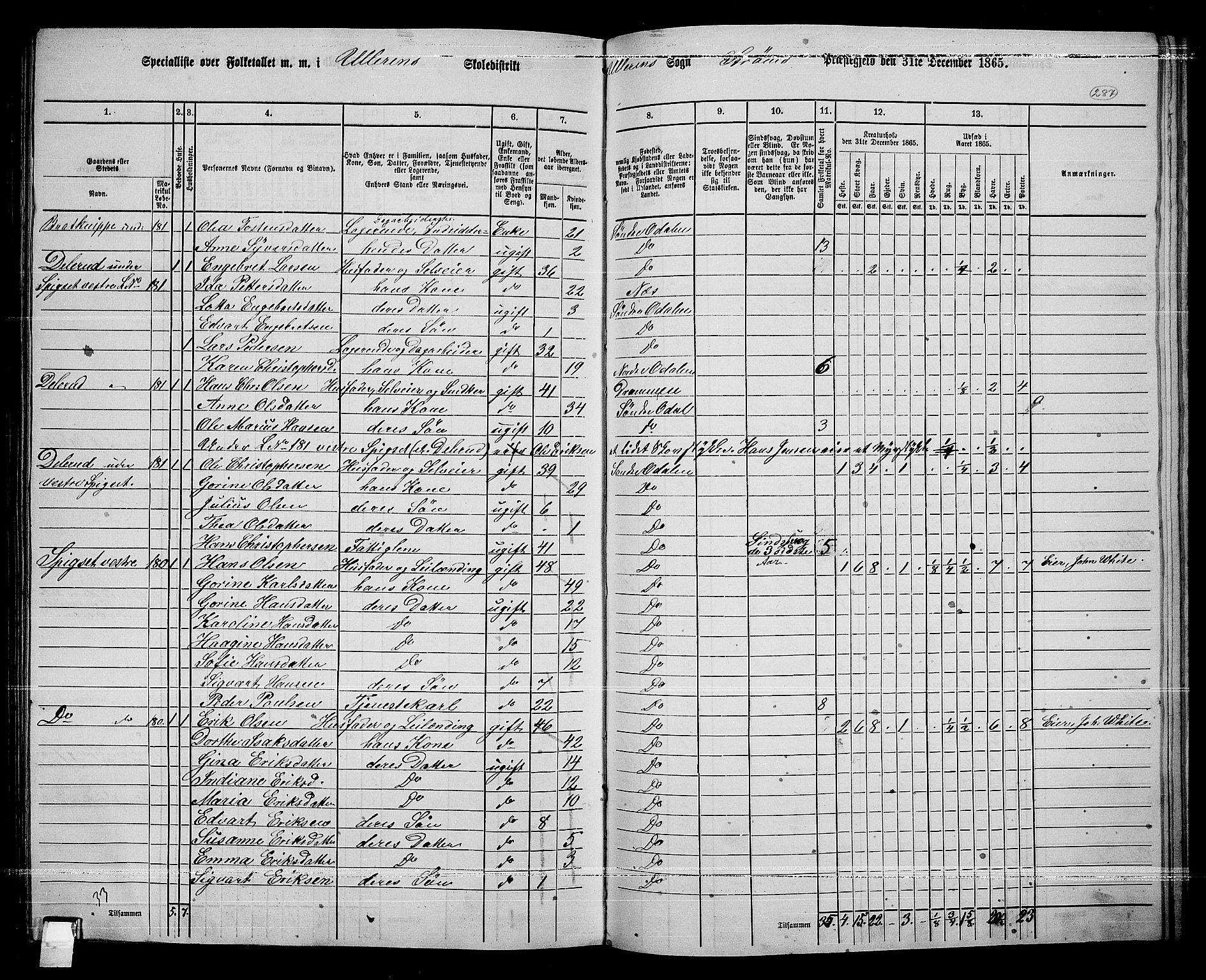 RA, 1865 census for Sør-Odal, 1865, p. 251