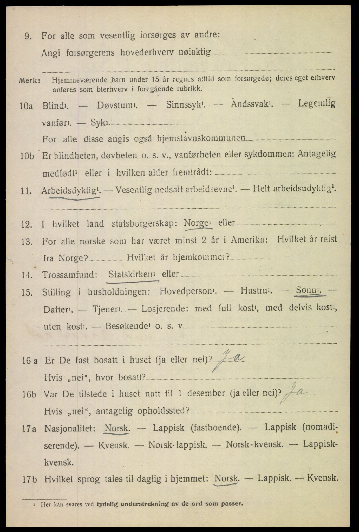 SAT, 1920 census for Tysfjord, 1920, p. 948