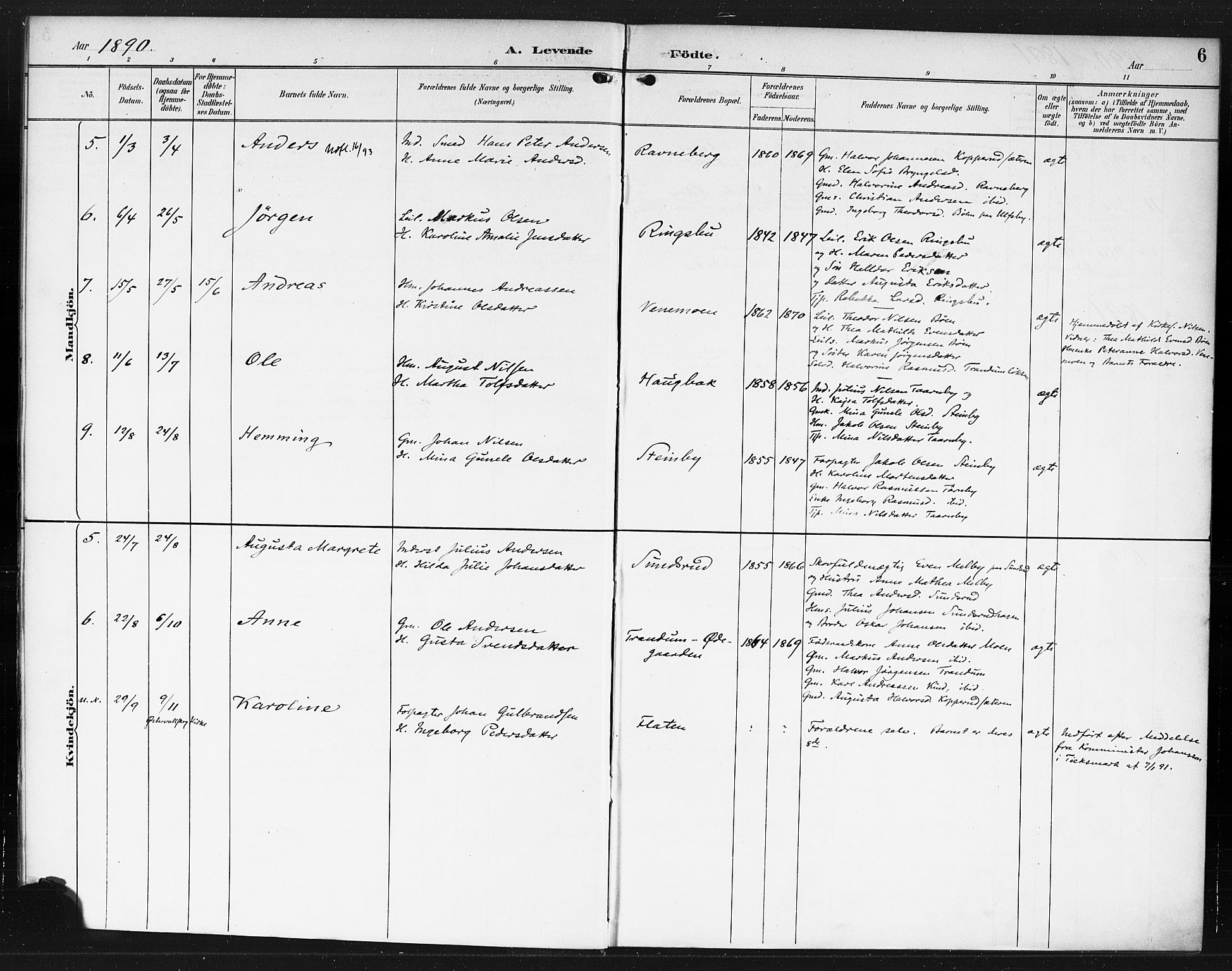 Rødenes prestekontor Kirkebøker, AV/SAO-A-2005/F/Fb/L0002: Parish register (official) no. II 2, 1890-1900, p. 6