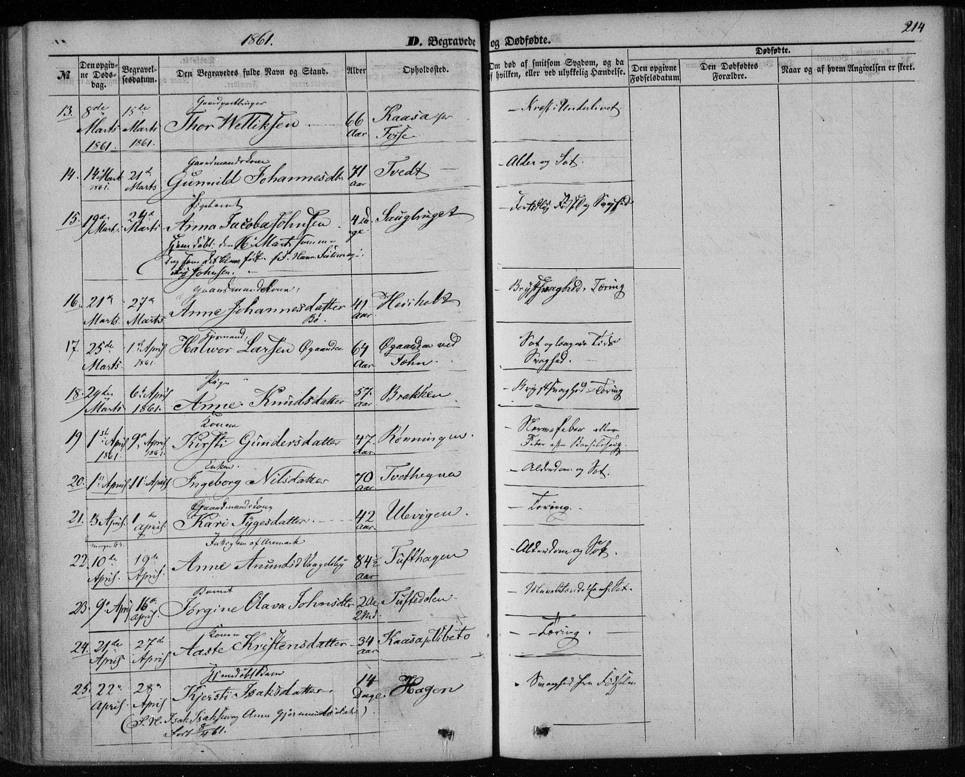 Holla kirkebøker, AV/SAKO-A-272/F/Fa/L0006: Parish register (official) no. 6, 1861-1869, p. 214