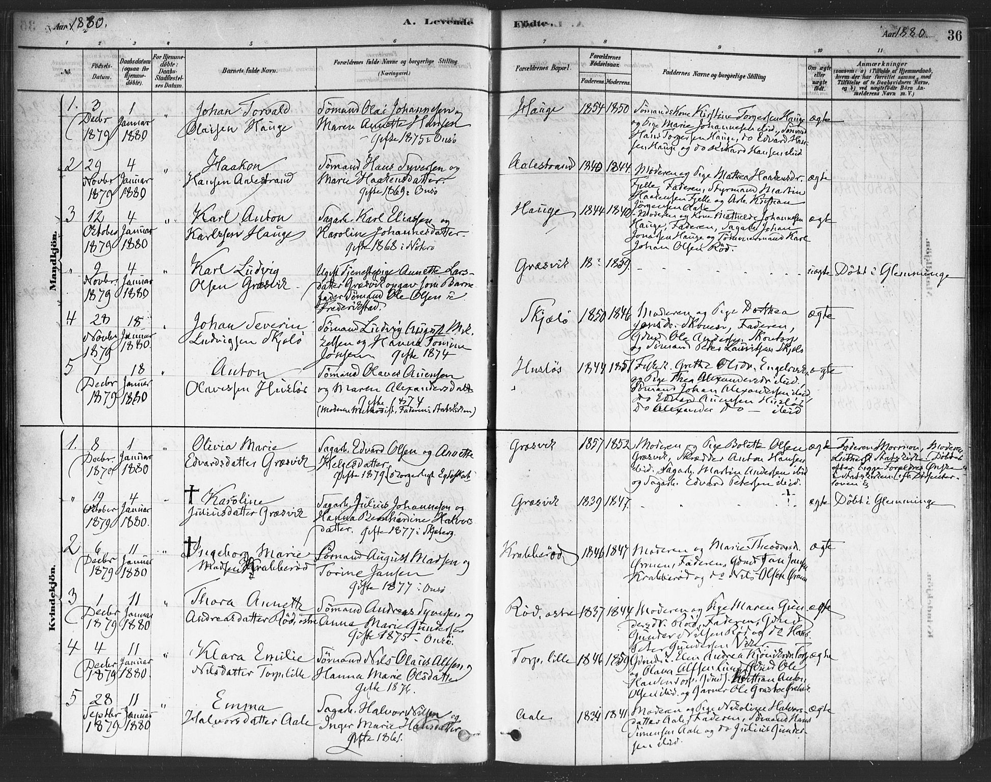 Onsøy prestekontor Kirkebøker, AV/SAO-A-10914/F/Fa/L0005: Parish register (official) no. I 5, 1878-1898, p. 36