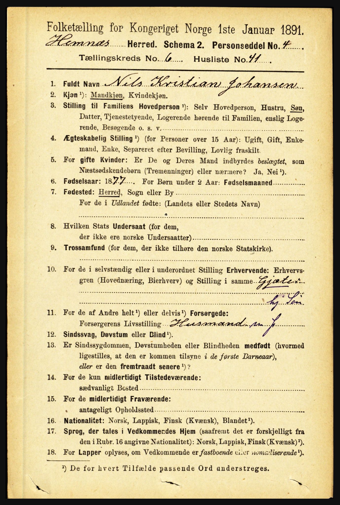 RA, 1891 census for 1832 Hemnes, 1891, p. 3198