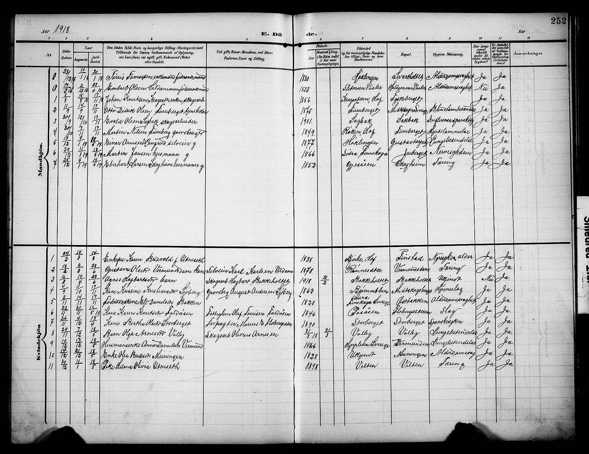 Åsnes prestekontor, AV/SAH-PREST-042/H/Ha/Hab/L0006: Parish register (copy) no. 6, 1903-1929, p. 252