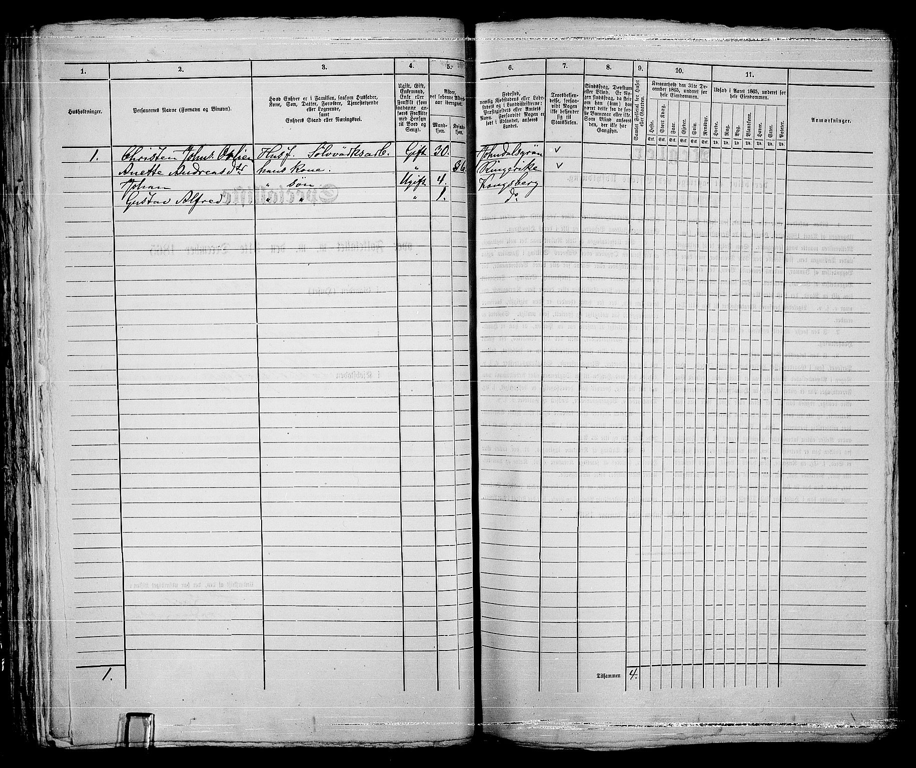 RA, 1865 census for Kongsberg/Kongsberg, 1865, p. 598