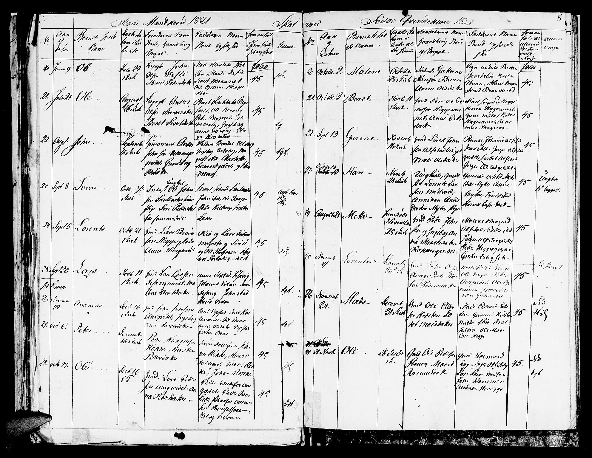 Ministerialprotokoller, klokkerbøker og fødselsregistre - Nord-Trøndelag, AV/SAT-A-1458/709/L0065: Parish register (official) no. 709A09 /2, 1820-1821, p. 8