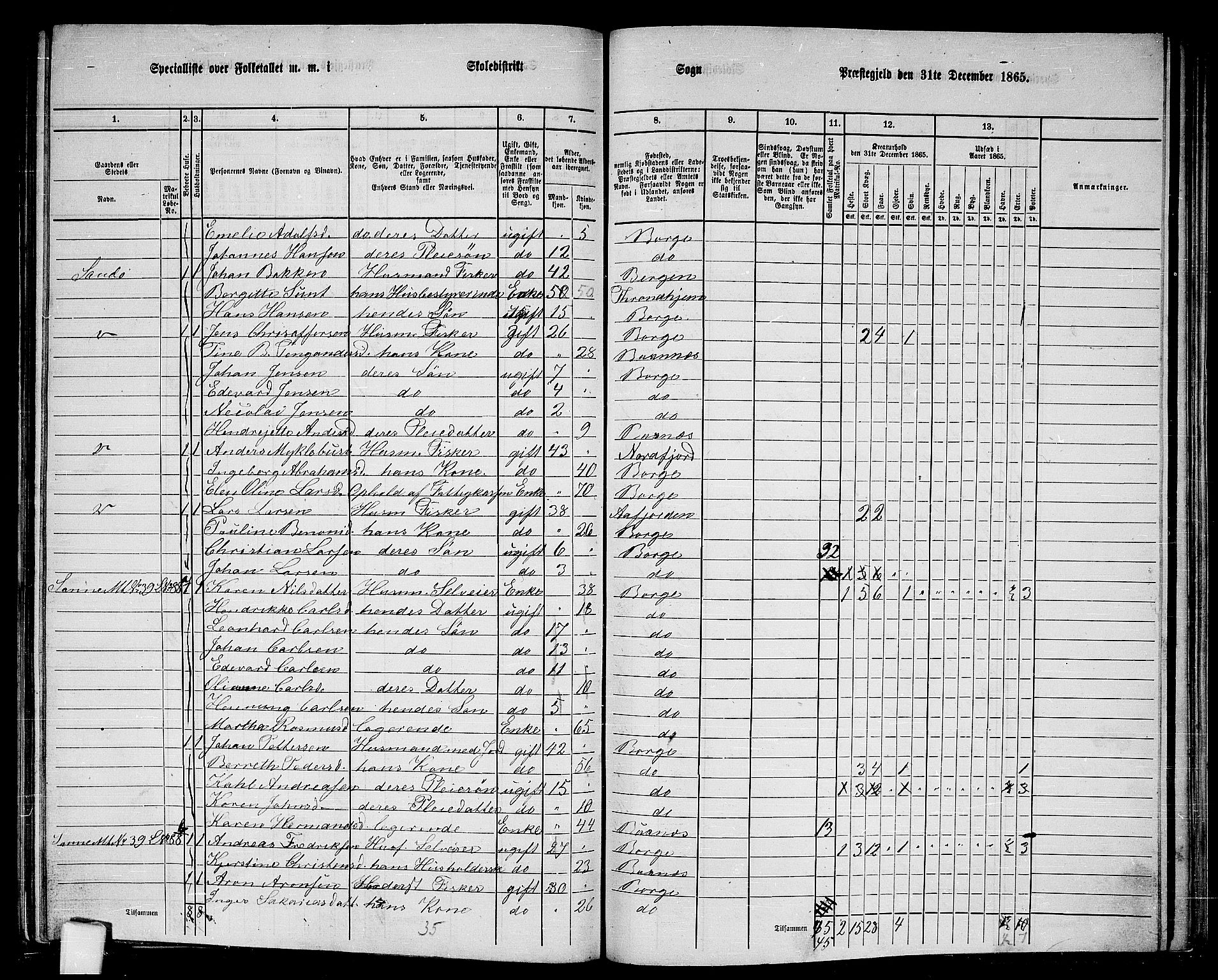 RA, 1865 census for Borge, 1865, p. 64