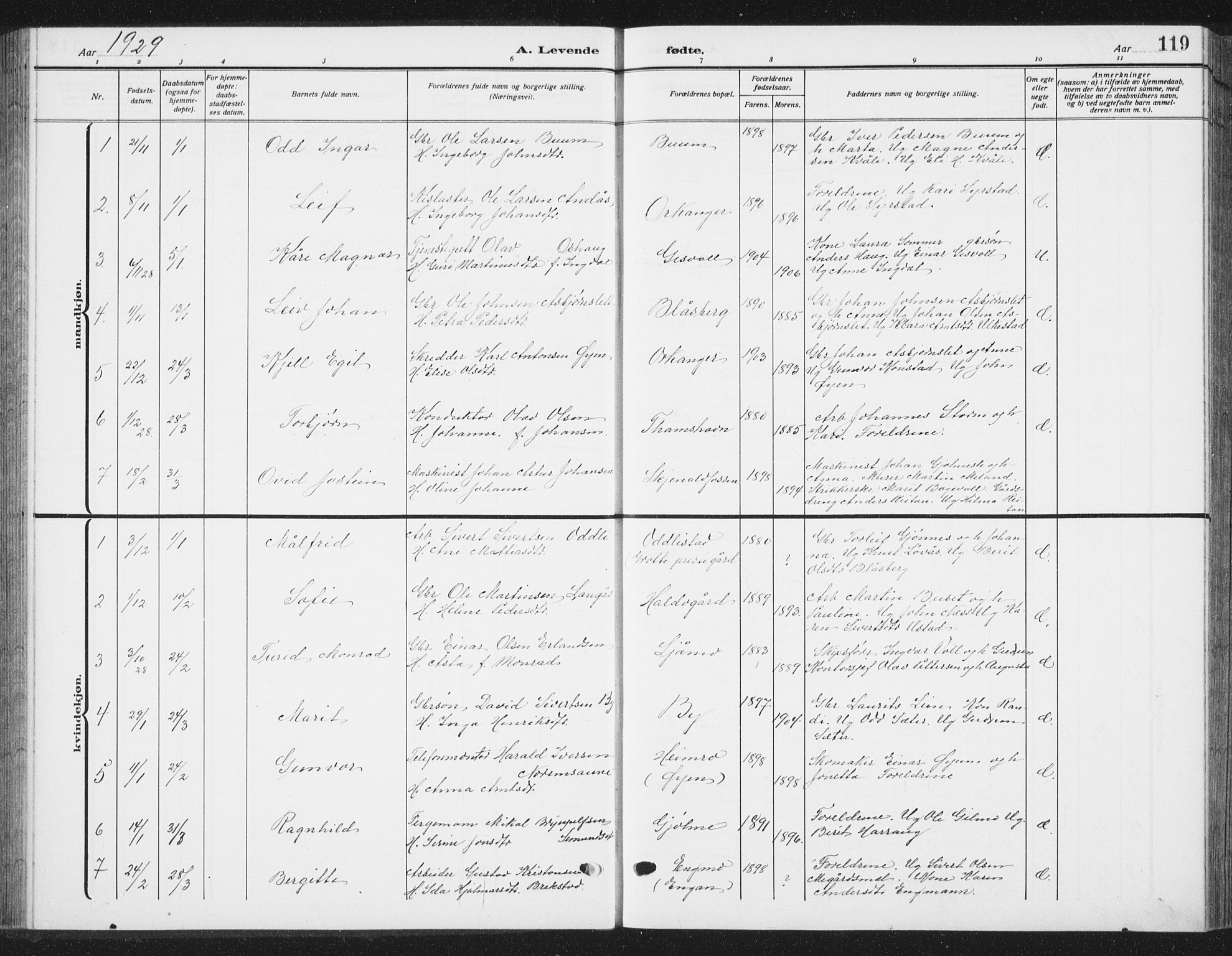 Ministerialprotokoller, klokkerbøker og fødselsregistre - Sør-Trøndelag, SAT/A-1456/668/L0820: Parish register (copy) no. 668C09, 1912-1936, p. 119