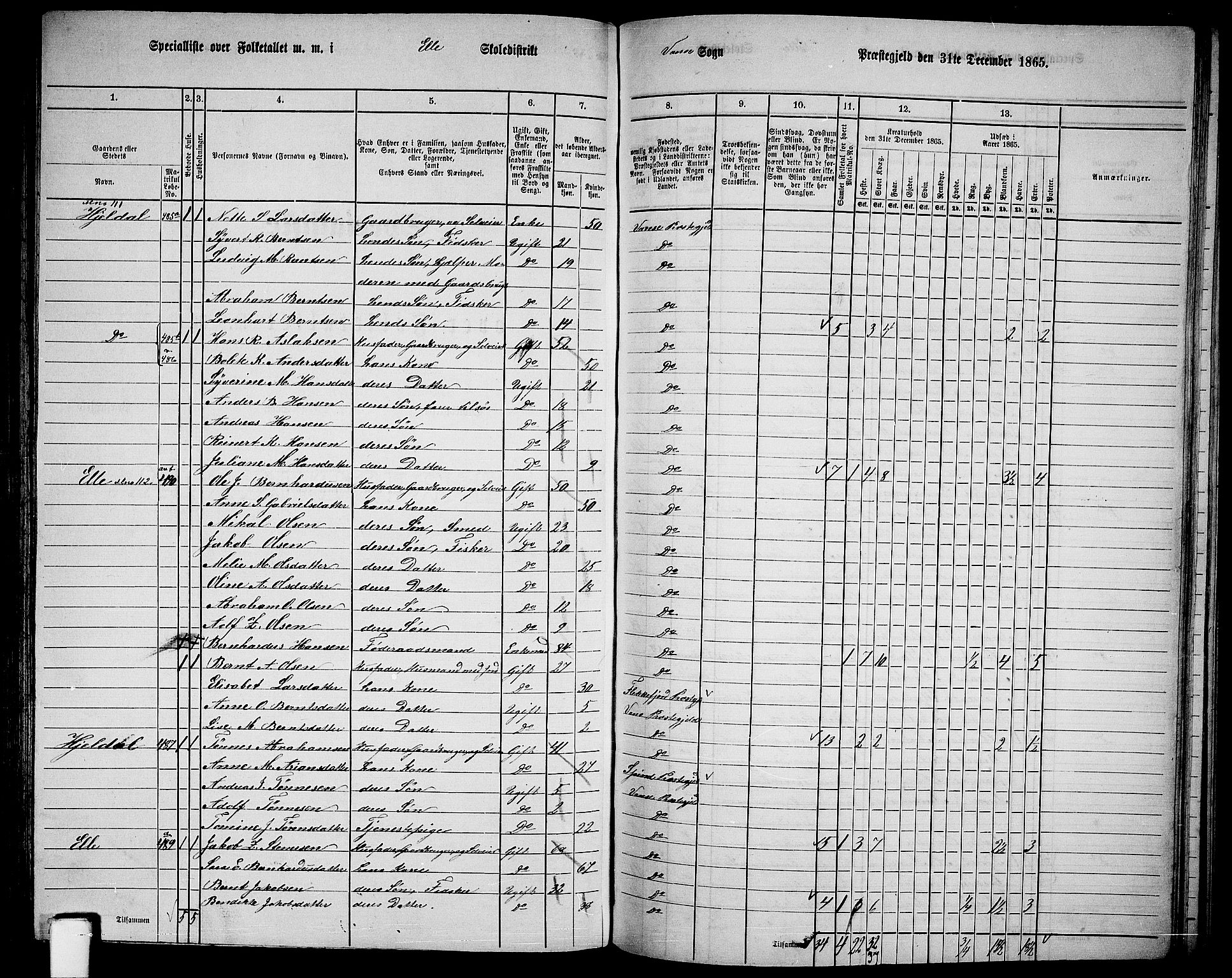 RA, 1865 census for Vanse/Vanse og Farsund, 1865, p. 171