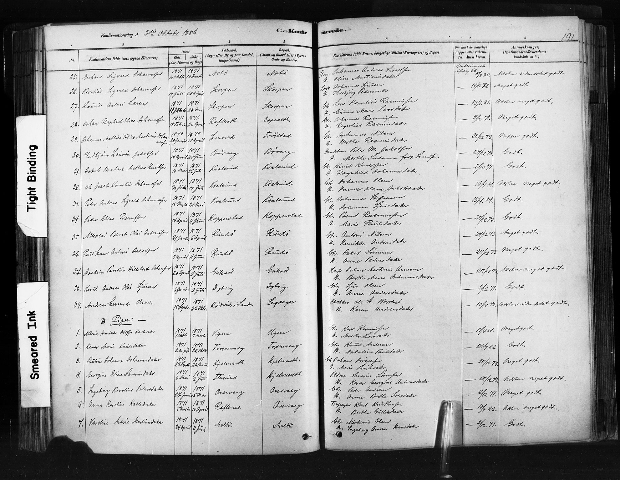 Ministerialprotokoller, klokkerbøker og fødselsregistre - Møre og Romsdal, SAT/A-1454/507/L0073: Parish register (official) no. 507A08, 1878-1904, p. 191