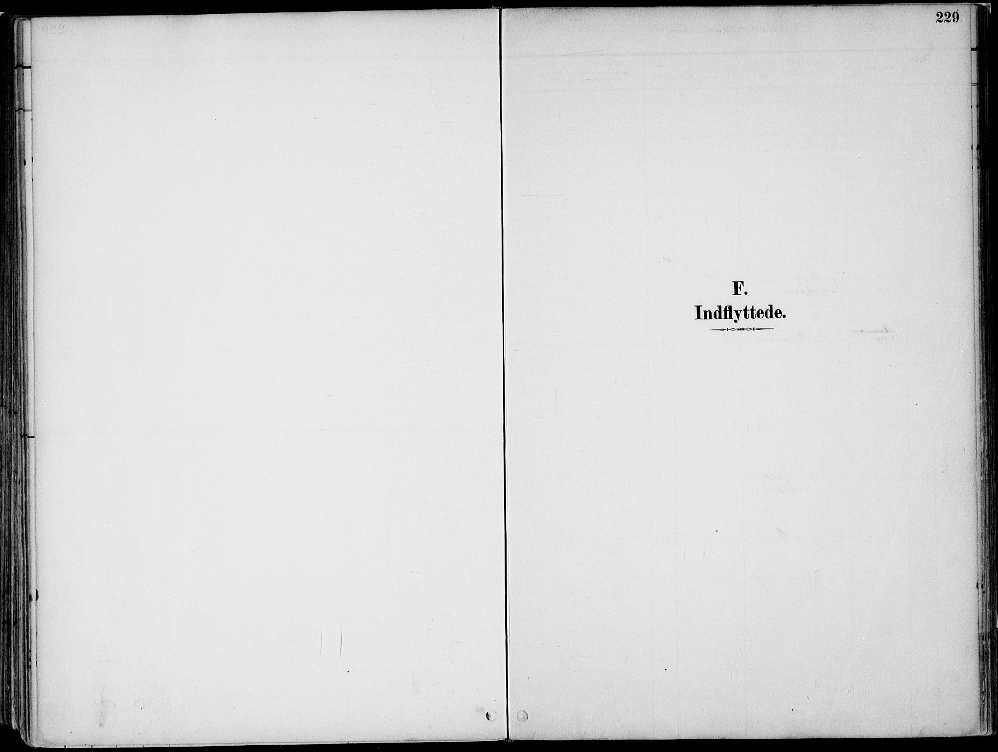Nord-Odal prestekontor, SAH/PREST-032/H/Ha/Haa/L0008: Parish register (official) no. 8, 1886-1901, p. 229