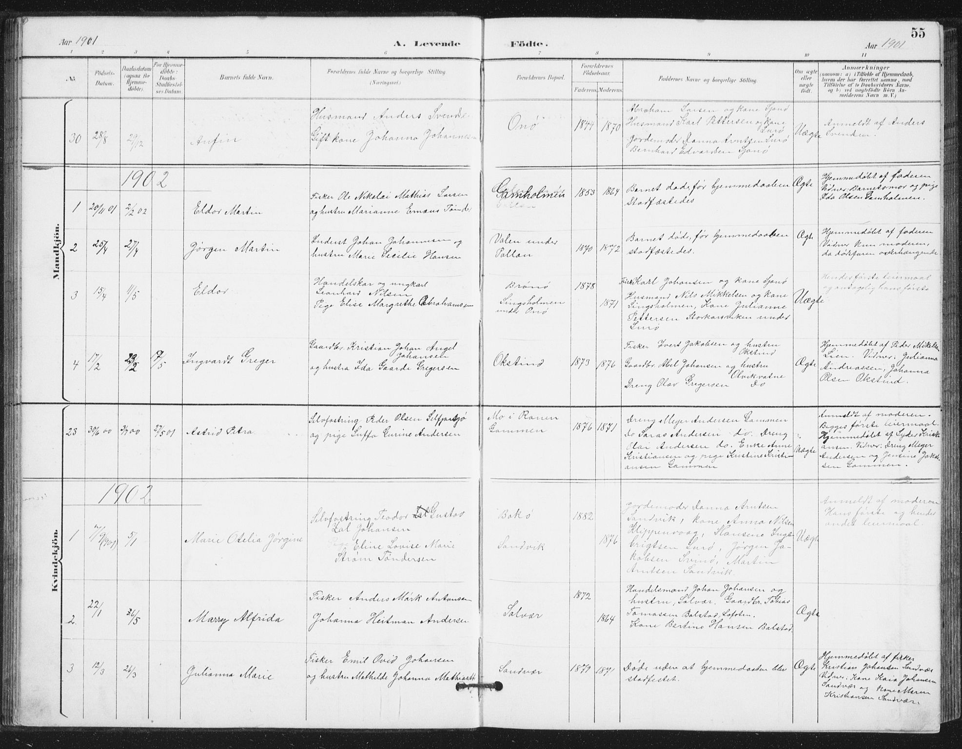 Ministerialprotokoller, klokkerbøker og fødselsregistre - Nordland, AV/SAT-A-1459/839/L0573: Parish register (copy) no. 839C03, 1892-1917, p. 55