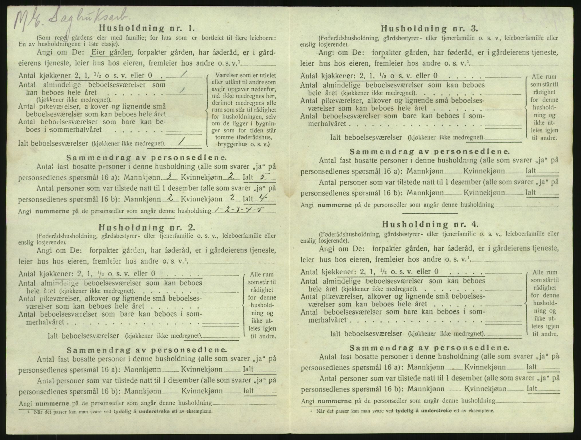 SAKO, 1920 census for Brunlanes, 1920, p. 1458