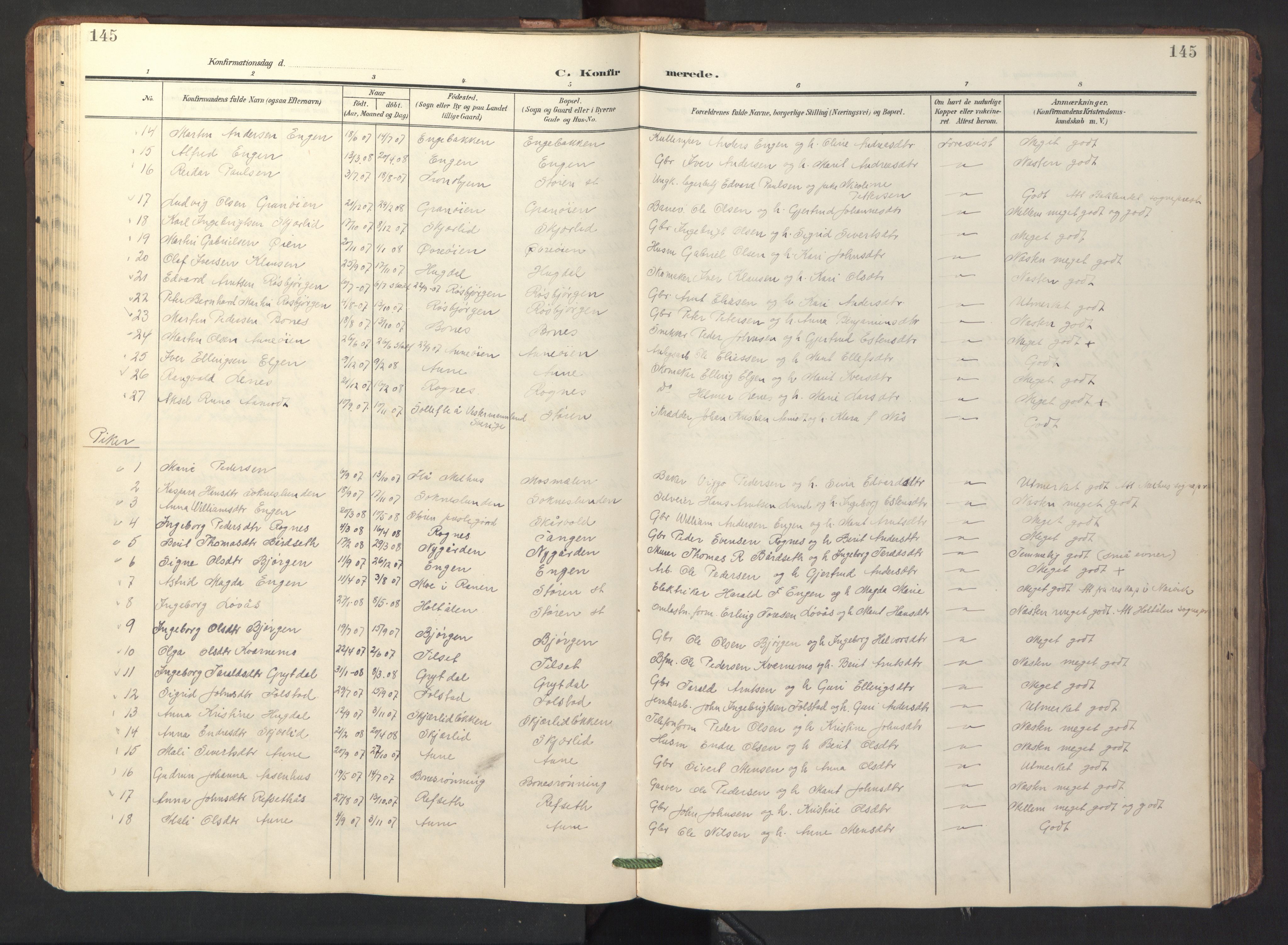 Ministerialprotokoller, klokkerbøker og fødselsregistre - Sør-Trøndelag, SAT/A-1456/687/L1019: Parish register (copy) no. 687C03, 1904-1931, p. 145