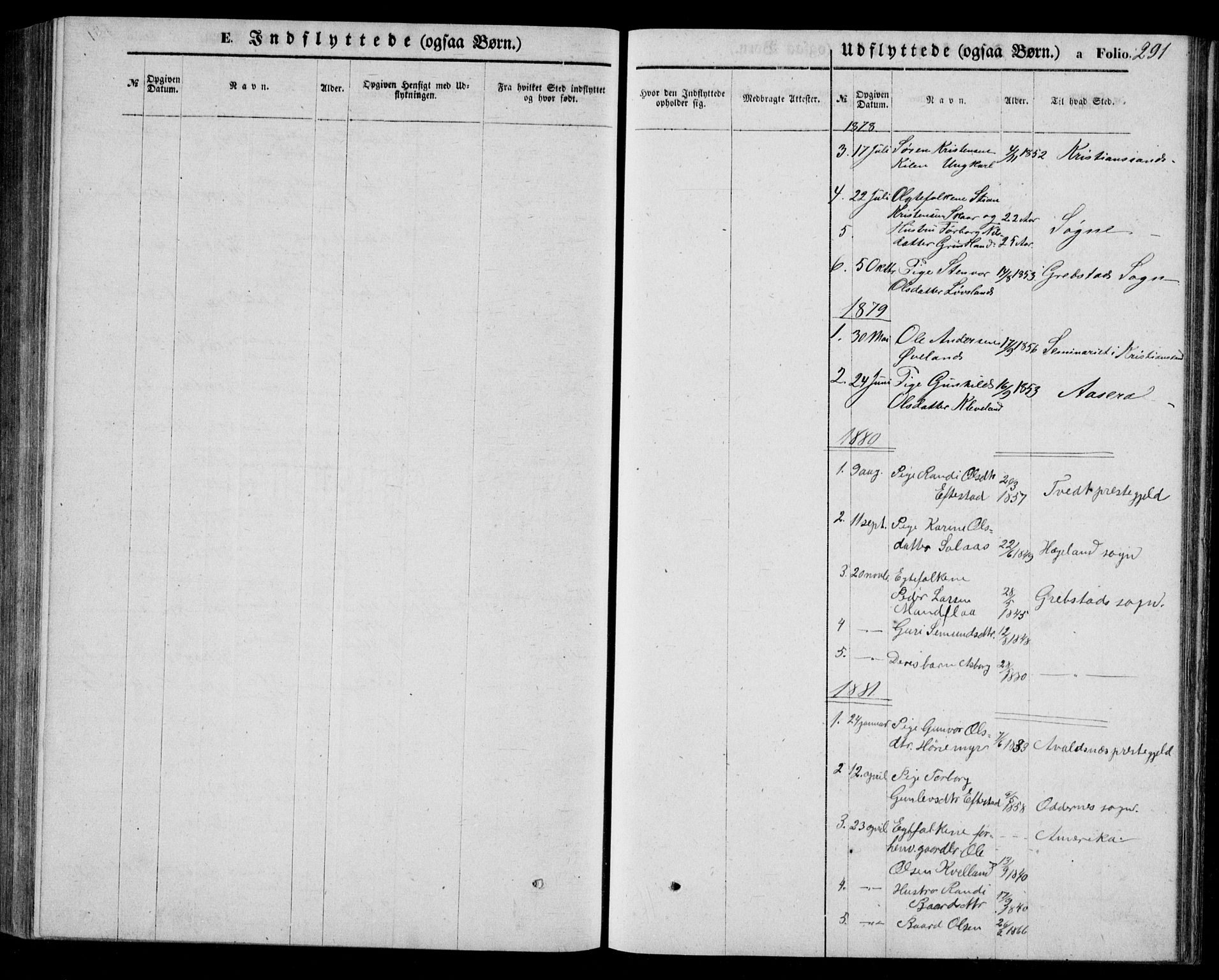 Bjelland sokneprestkontor, AV/SAK-1111-0005/F/Fb/Fbb/L0004: Parish register (copy) no. B 4, 1867-1887, p. 291