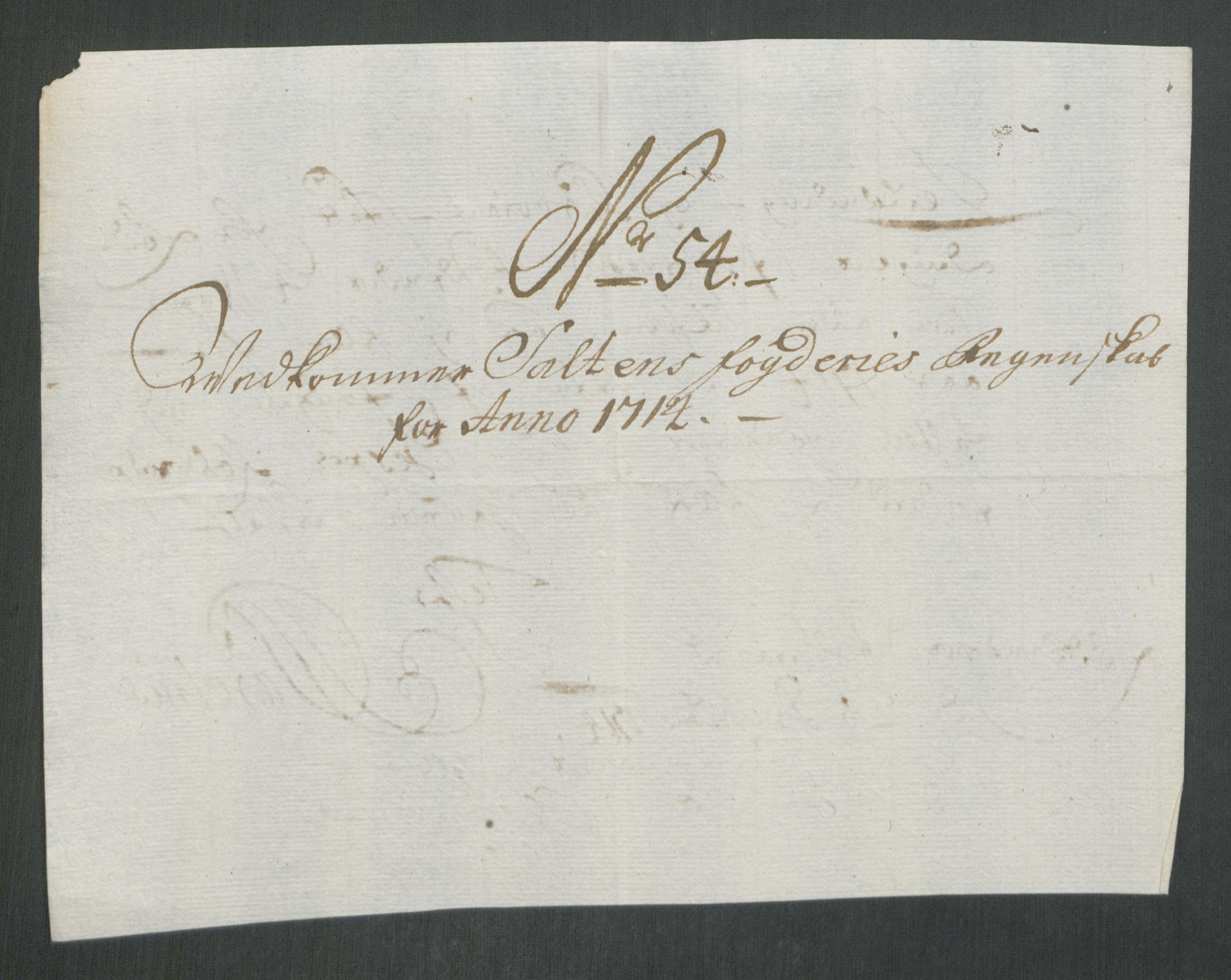 Rentekammeret inntil 1814, Reviderte regnskaper, Fogderegnskap, AV/RA-EA-4092/R66/L4584: Fogderegnskap Salten, 1714, p. 318