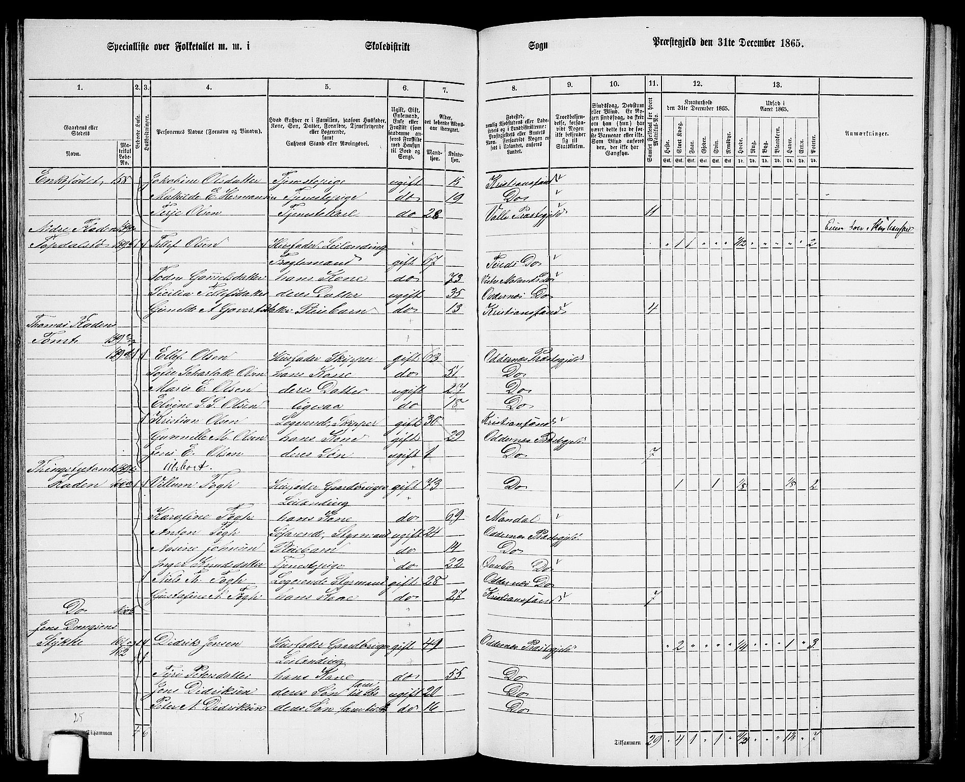 RA, 1865 census for Oddernes, 1865, p. 90