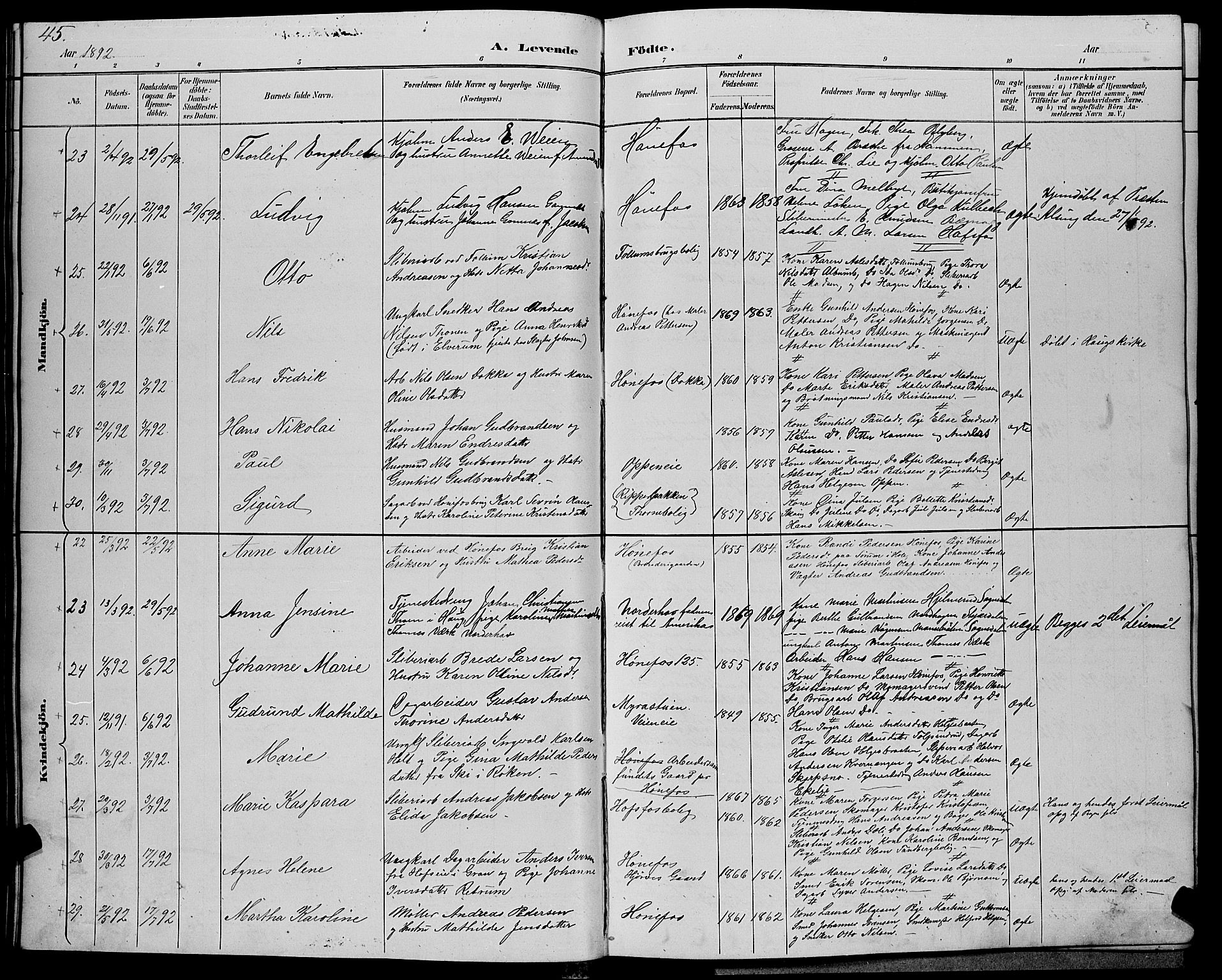 Hønefoss kirkebøker, AV/SAKO-A-609/G/Ga/L0002: Parish register (copy) no. 2, 1888-1904, p. 45