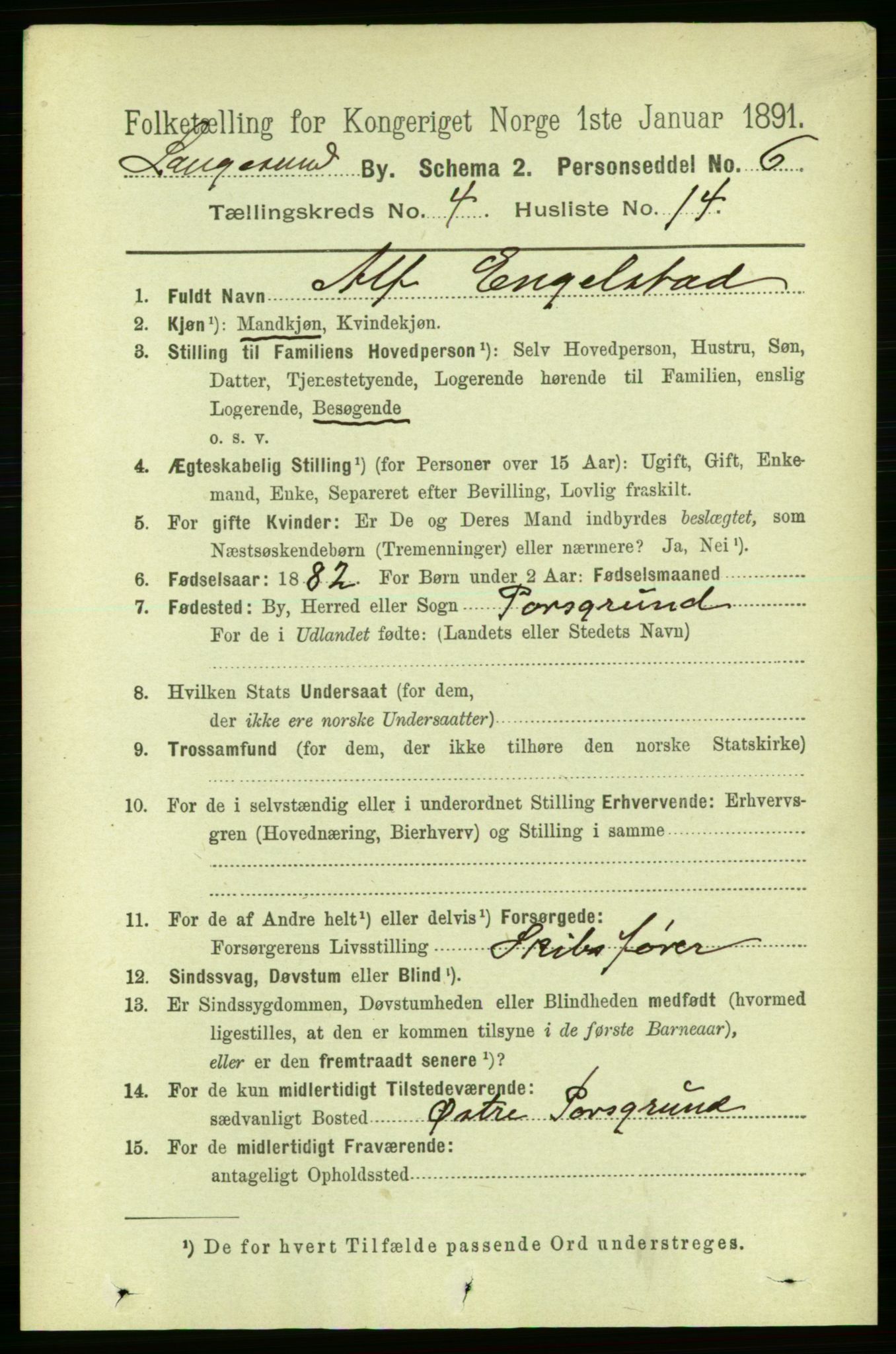 RA, 1891 census for 0802 Langesund, 1891, p. 1243