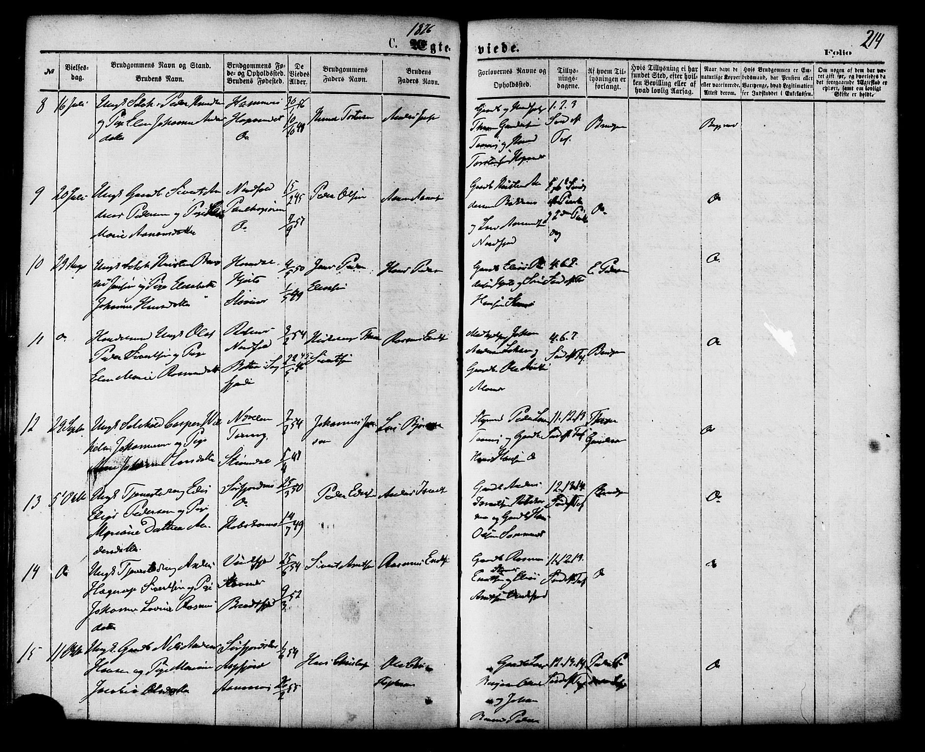 Ministerialprotokoller, klokkerbøker og fødselsregistre - Nordland, AV/SAT-A-1459/853/L0771: Parish register (official) no. 853A10, 1870-1881, p. 214