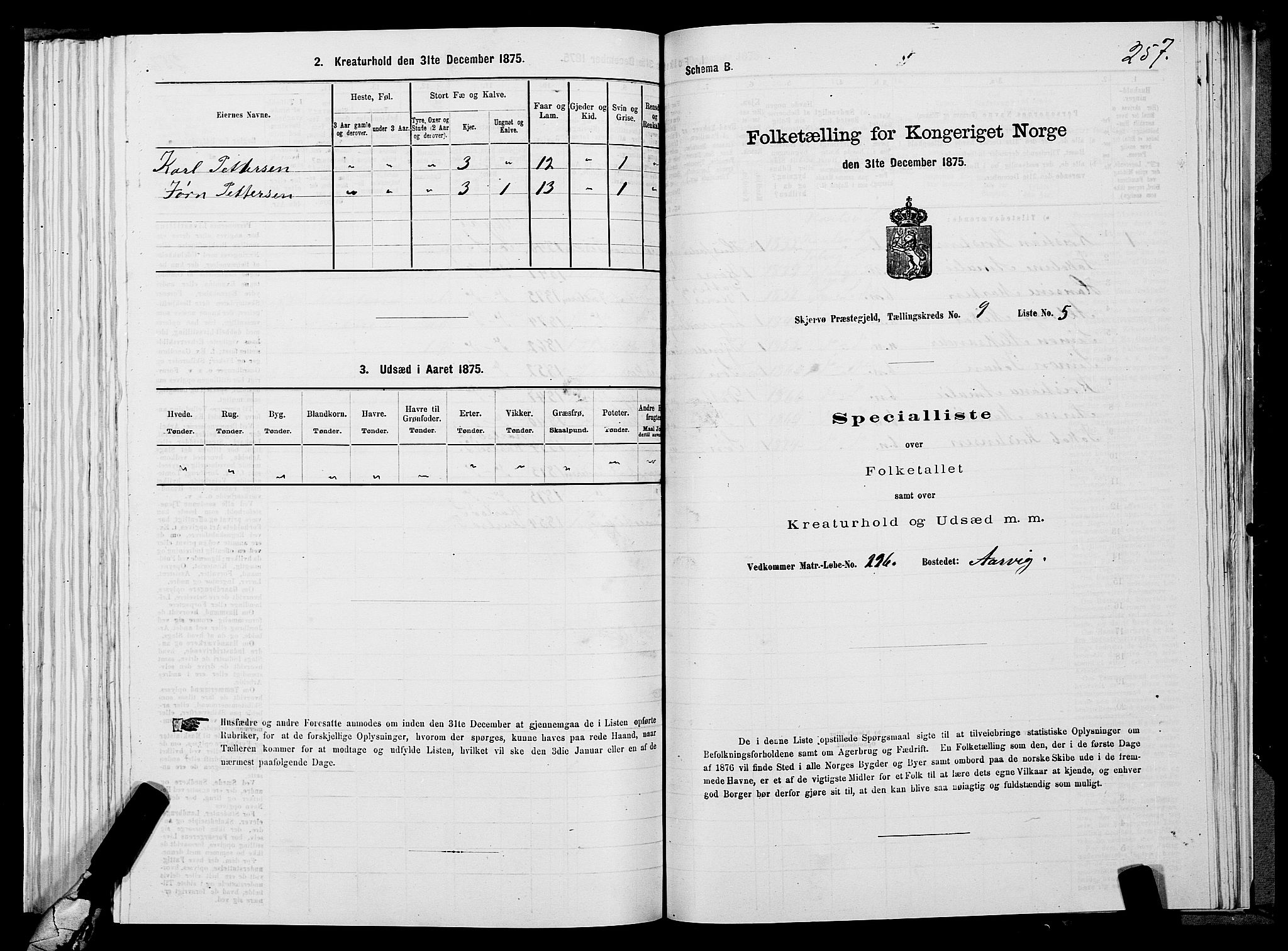 SATØ, 1875 census for 1941P Skjervøy, 1875, p. 6257