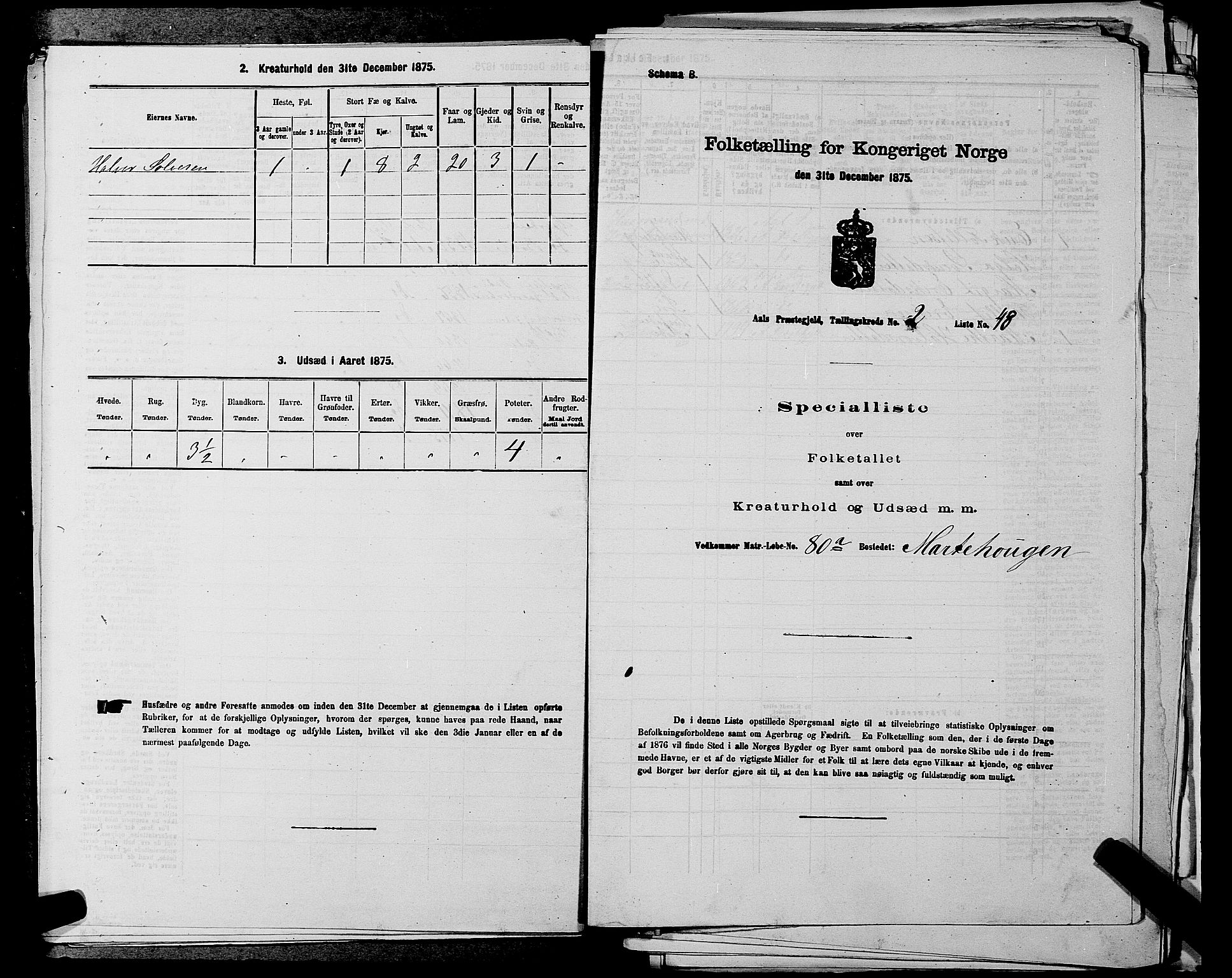 SAKO, 1875 census for 0619P Ål, 1875, p. 308