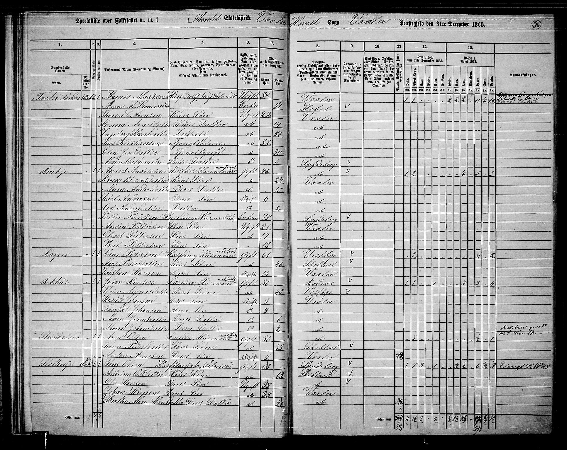 RA, 1865 census for Våler, 1865, p. 33