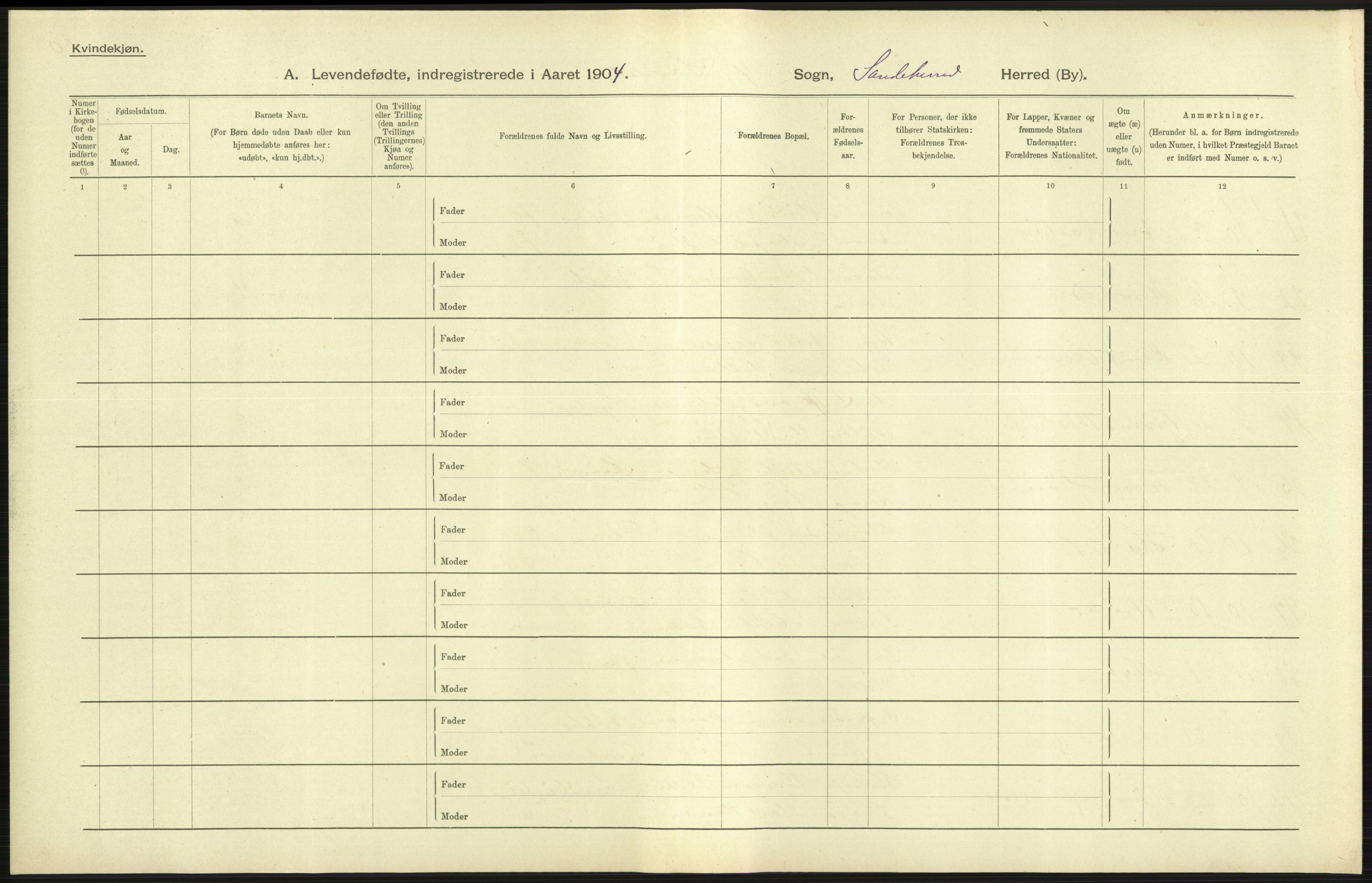 Statistisk sentralbyrå, Sosiodemografiske emner, Befolkning, AV/RA-S-2228/D/Df/Dfa/Dfab/L0008: Jarlsberg og Larvig amt: Fødte, gifte, døde, 1904, p. 79