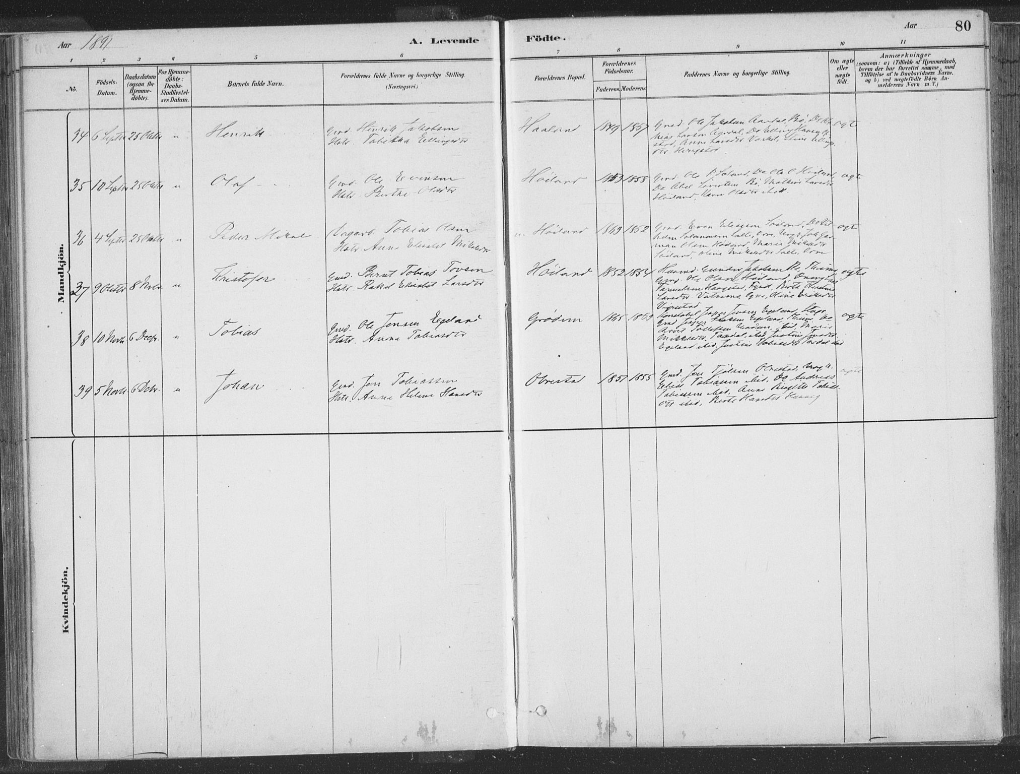 Hå sokneprestkontor, SAST/A-101801/001/30BA/L0010: Parish register (official) no. A 9, 1879-1896, p. 80