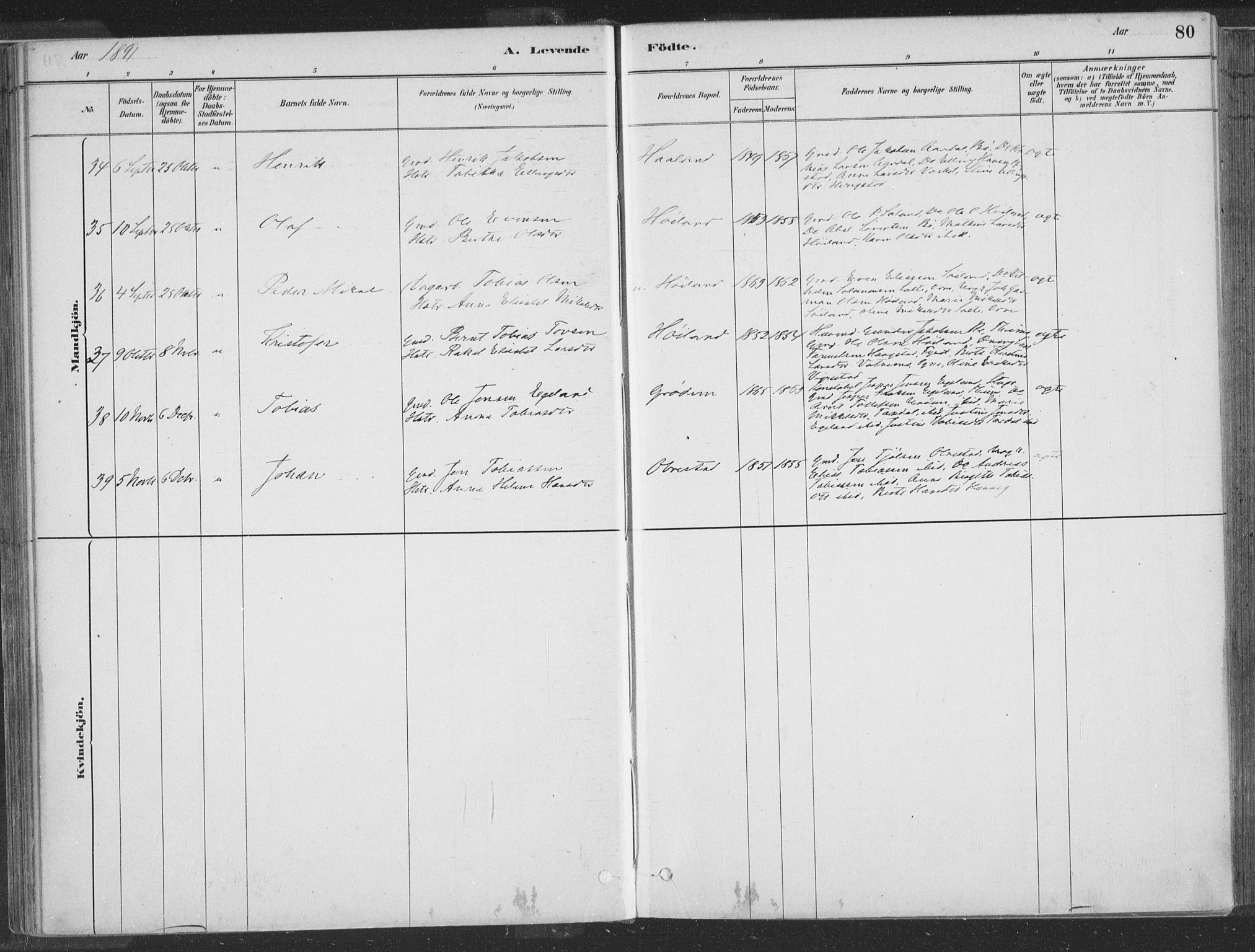 Hå sokneprestkontor, AV/SAST-A-101801/001/30BA/L0010: Parish register (official) no. A 9, 1879-1896, p. 80