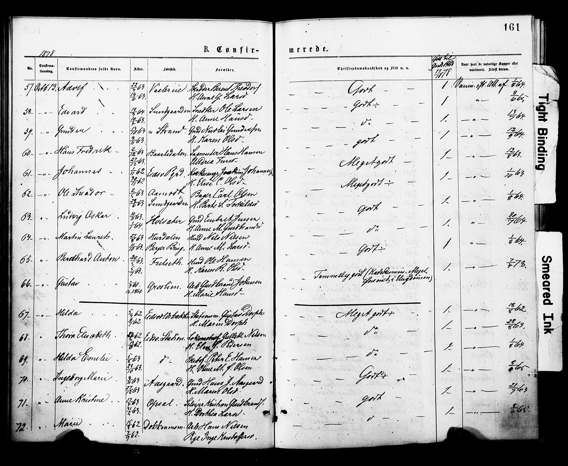 Eidsvoll prestekontor Kirkebøker, SAO/A-10888/F/Fa/L0001: Parish register (official) no. I 1, 1877-1881, p. 161