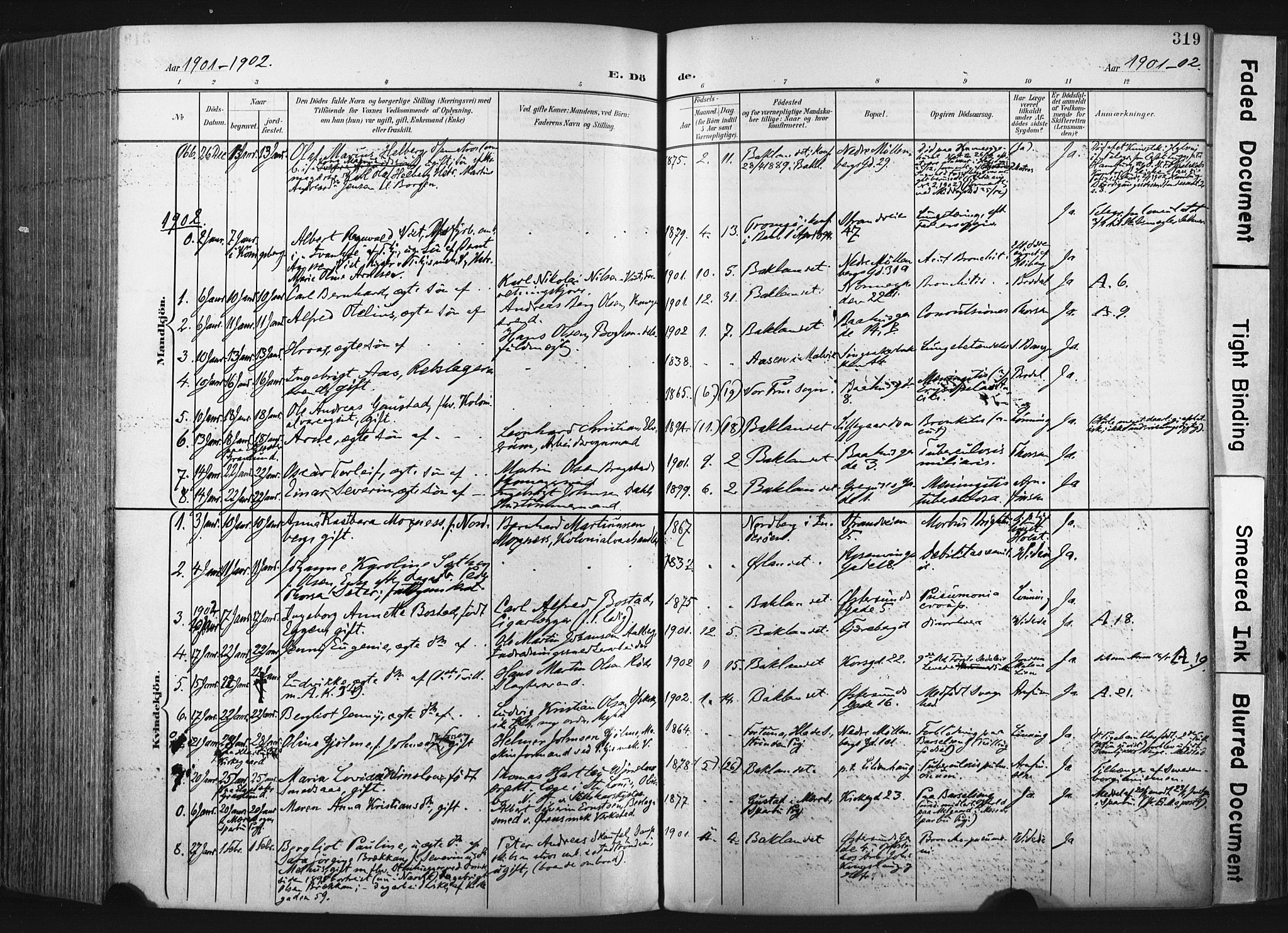 Ministerialprotokoller, klokkerbøker og fødselsregistre - Sør-Trøndelag, SAT/A-1456/604/L0201: Parish register (official) no. 604A21, 1901-1911, p. 319