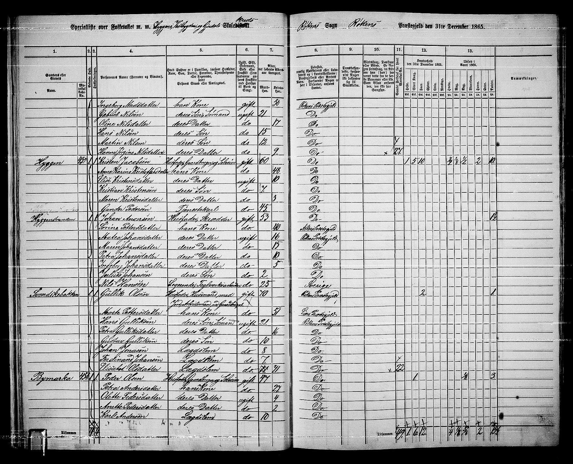 RA, 1865 census for Røyken, 1865, p. 28