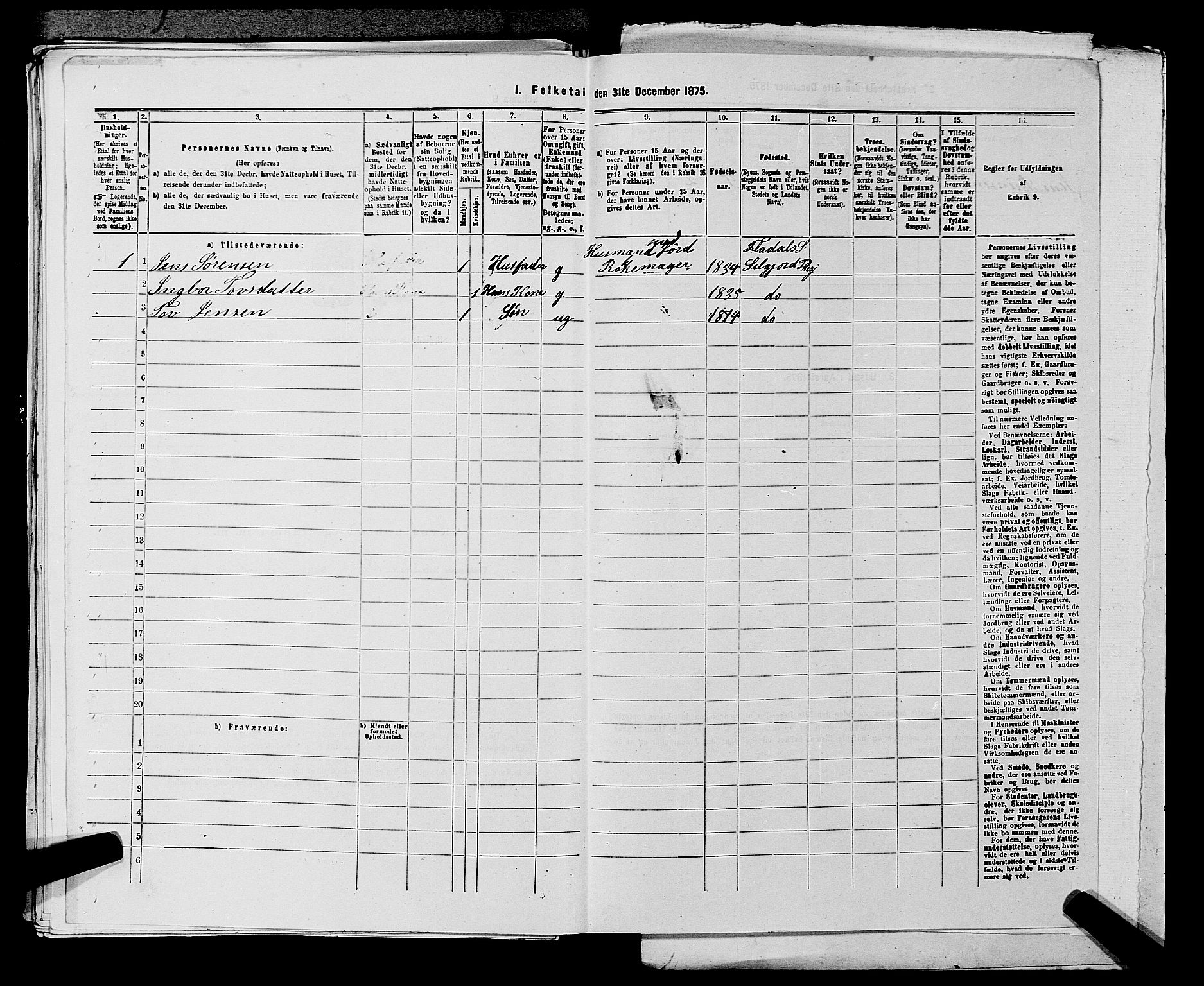 SAKO, 1875 census for 0828P Seljord, 1875, p. 1113