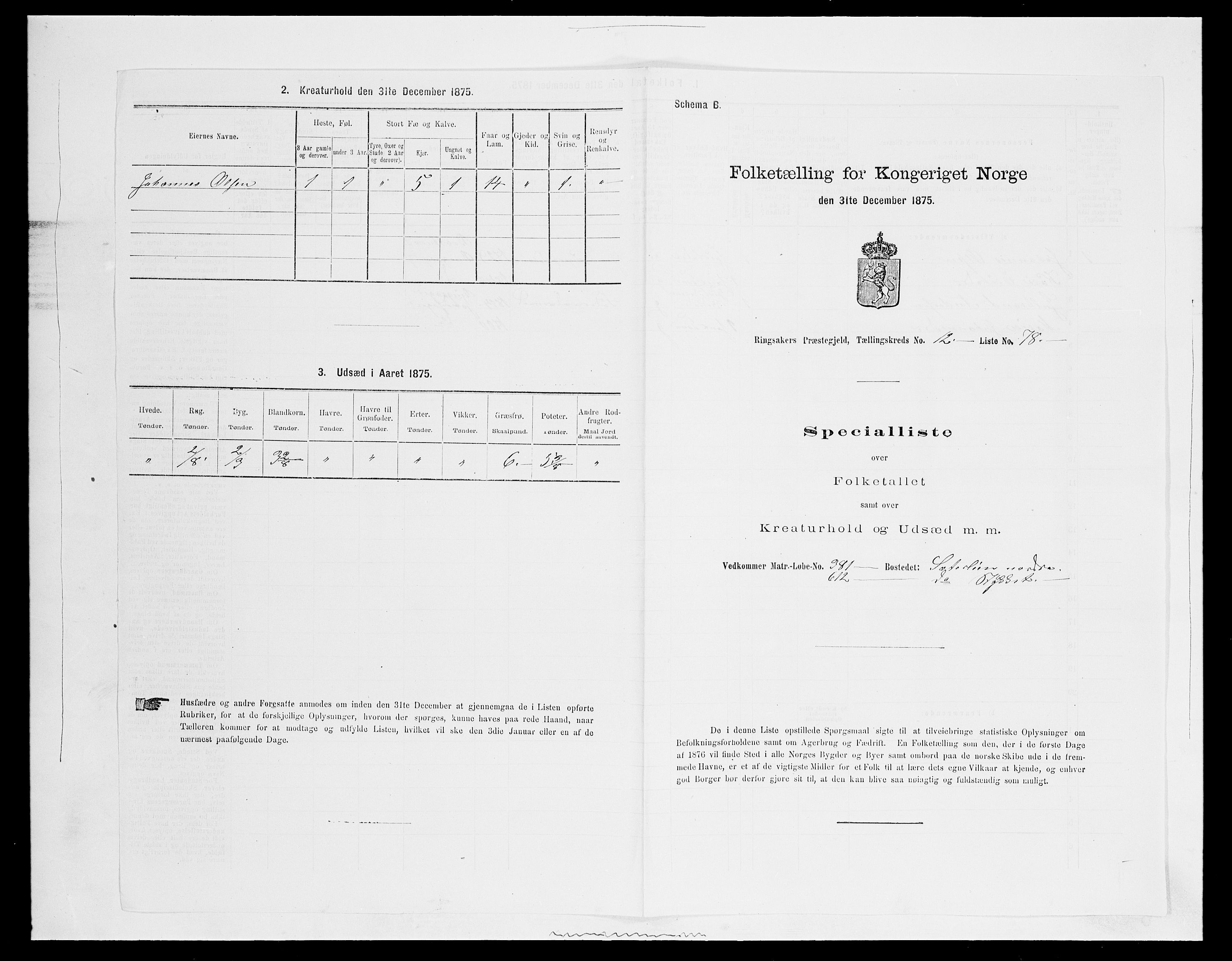 SAH, 1875 census for 0412P Ringsaker, 1875, p. 2564