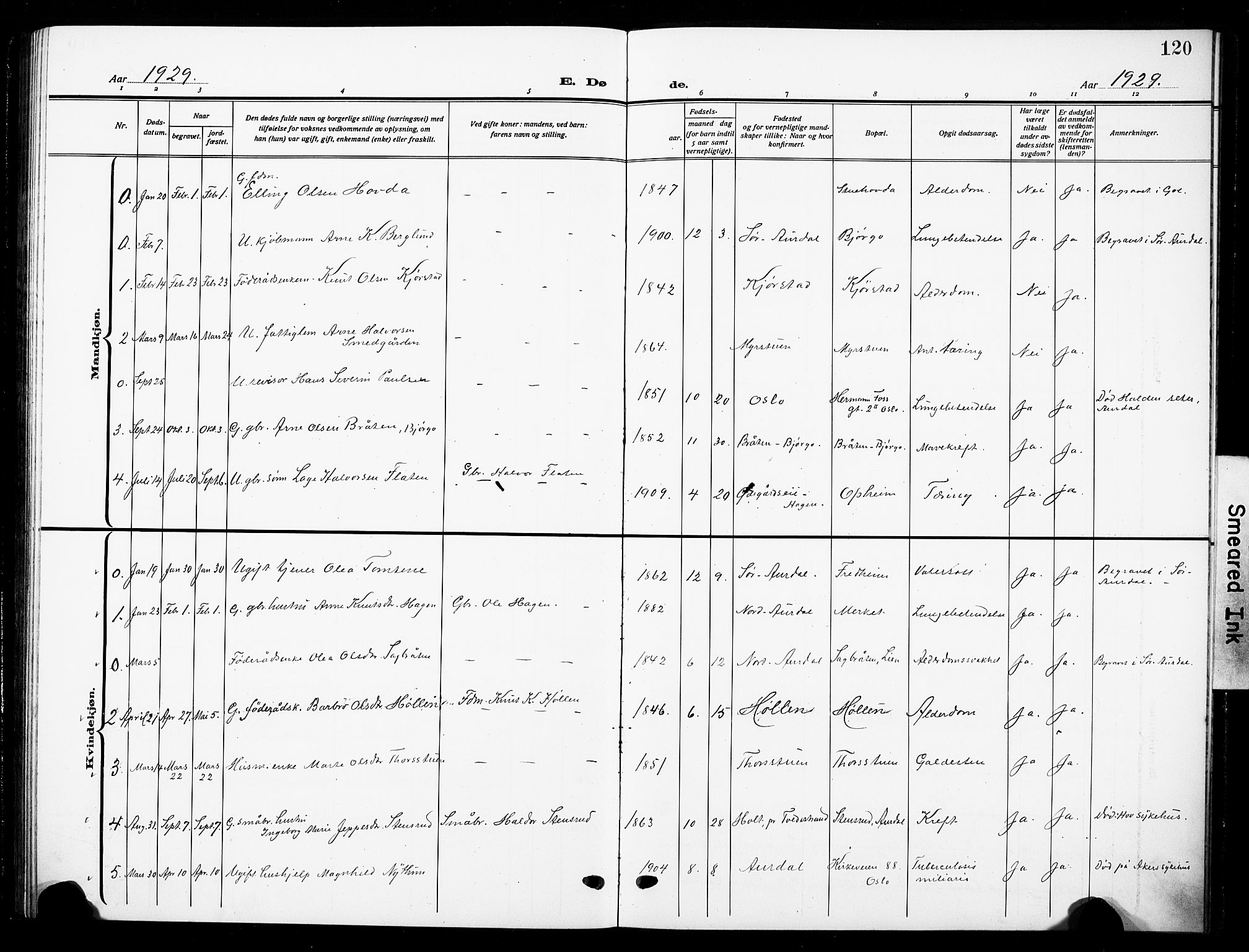 Nord-Aurdal prestekontor, SAH/PREST-132/H/Ha/Hab/L0016: Parish register (copy) no. 16, 1920-1932, p. 120