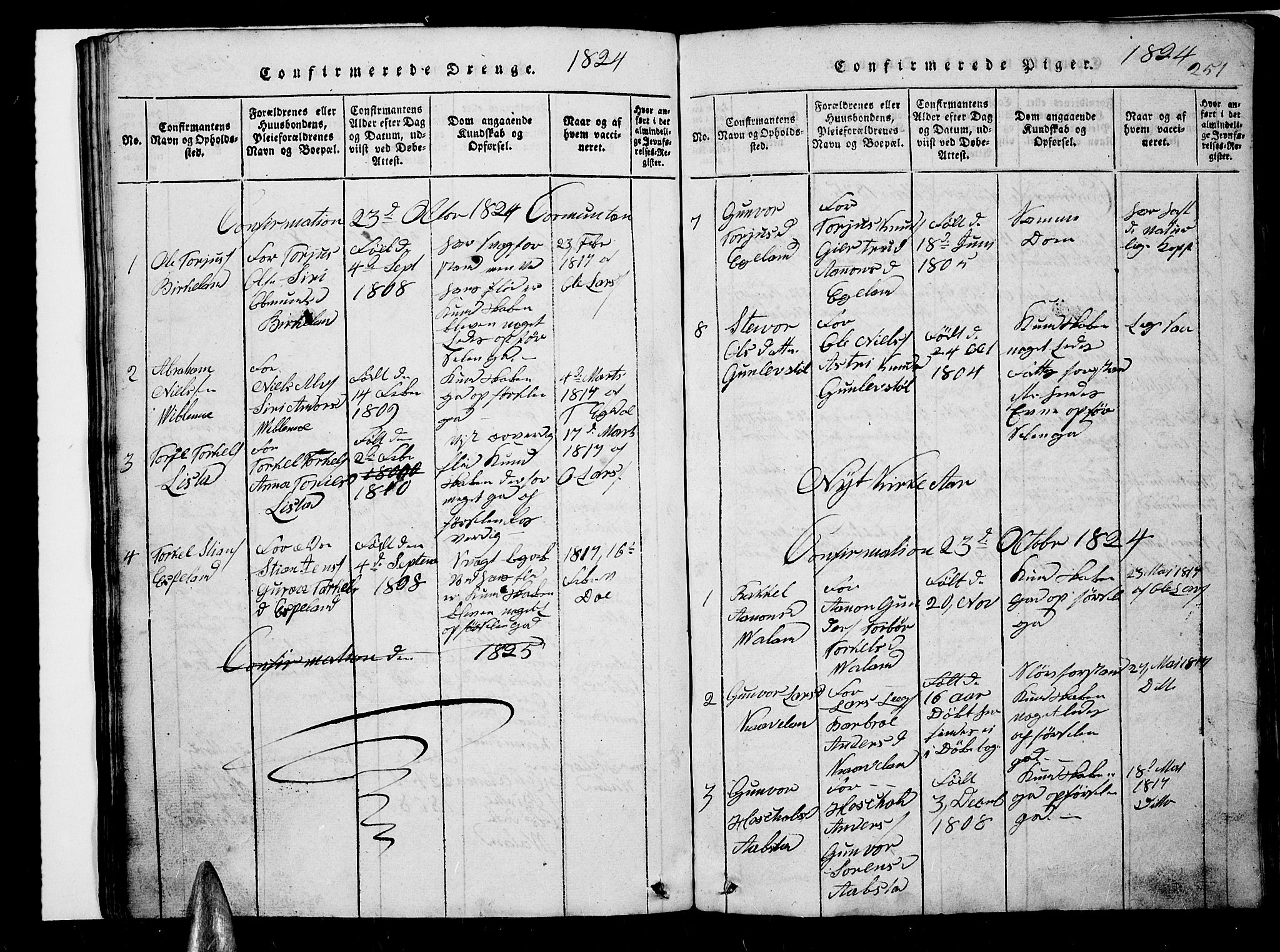 Nord-Audnedal sokneprestkontor, AV/SAK-1111-0032/F/Fb/Fba/L0001: Parish register (copy) no. B 1, 1815-1856, p. 251