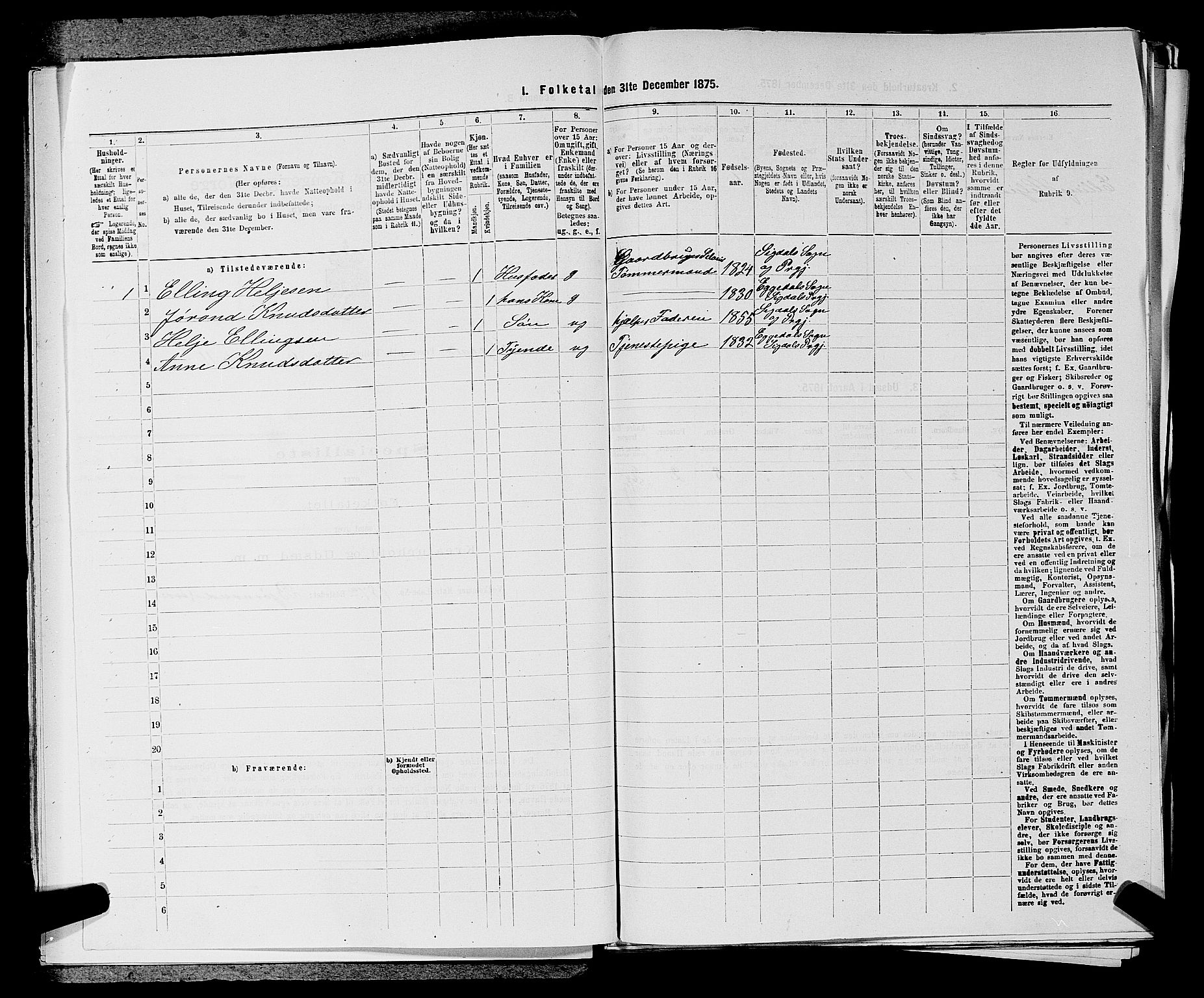 SAKO, 1875 census for 0621P Sigdal, 1875, p. 872