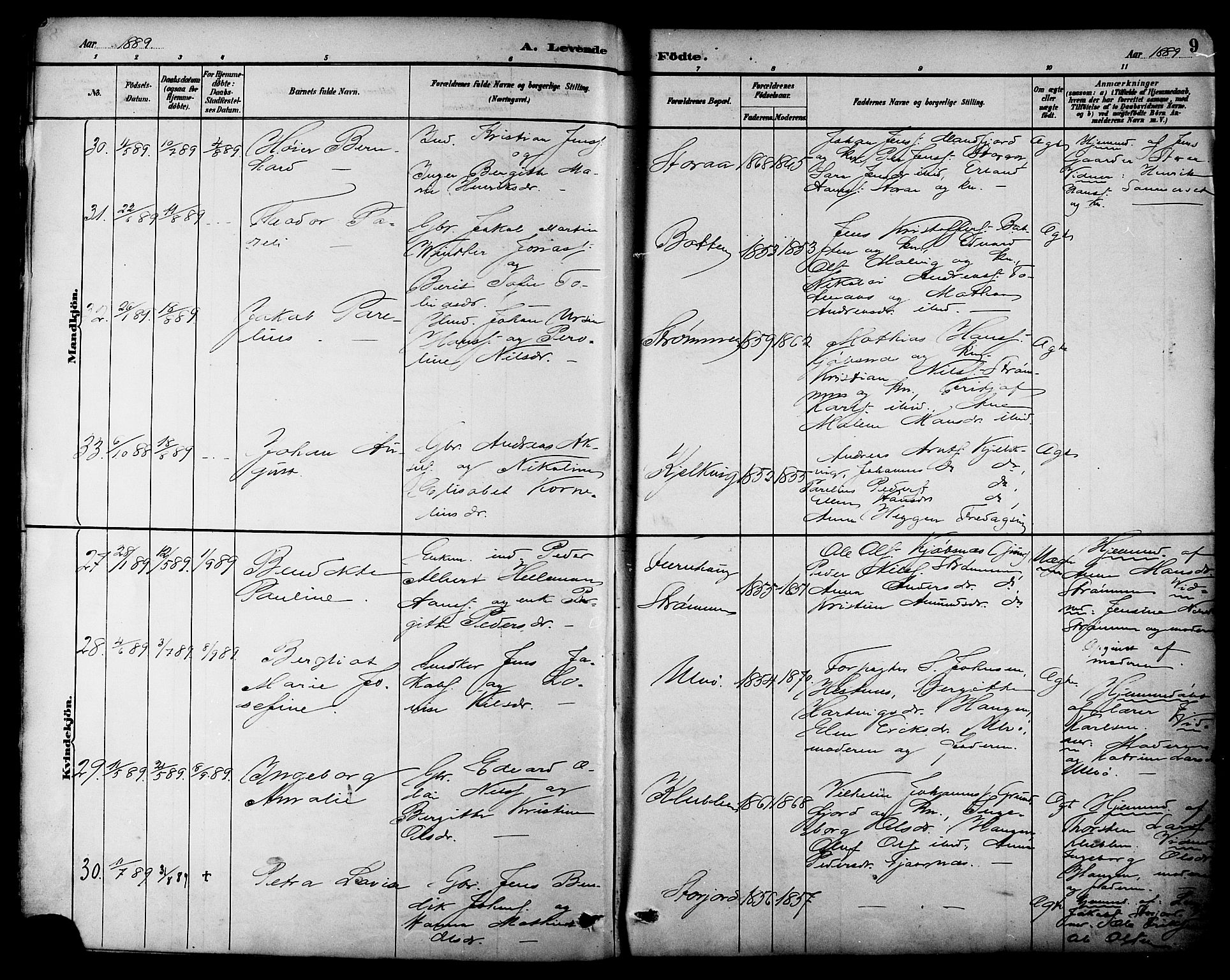 Ministerialprotokoller, klokkerbøker og fødselsregistre - Nordland, AV/SAT-A-1459/861/L0869: Parish register (official) no. 861A04, 1889-1903, p. 9