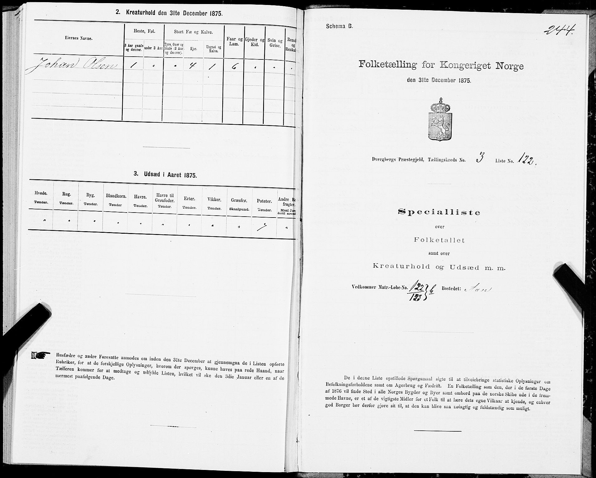 SAT, 1875 census for 1872P Dverberg, 1875, p. 2244
