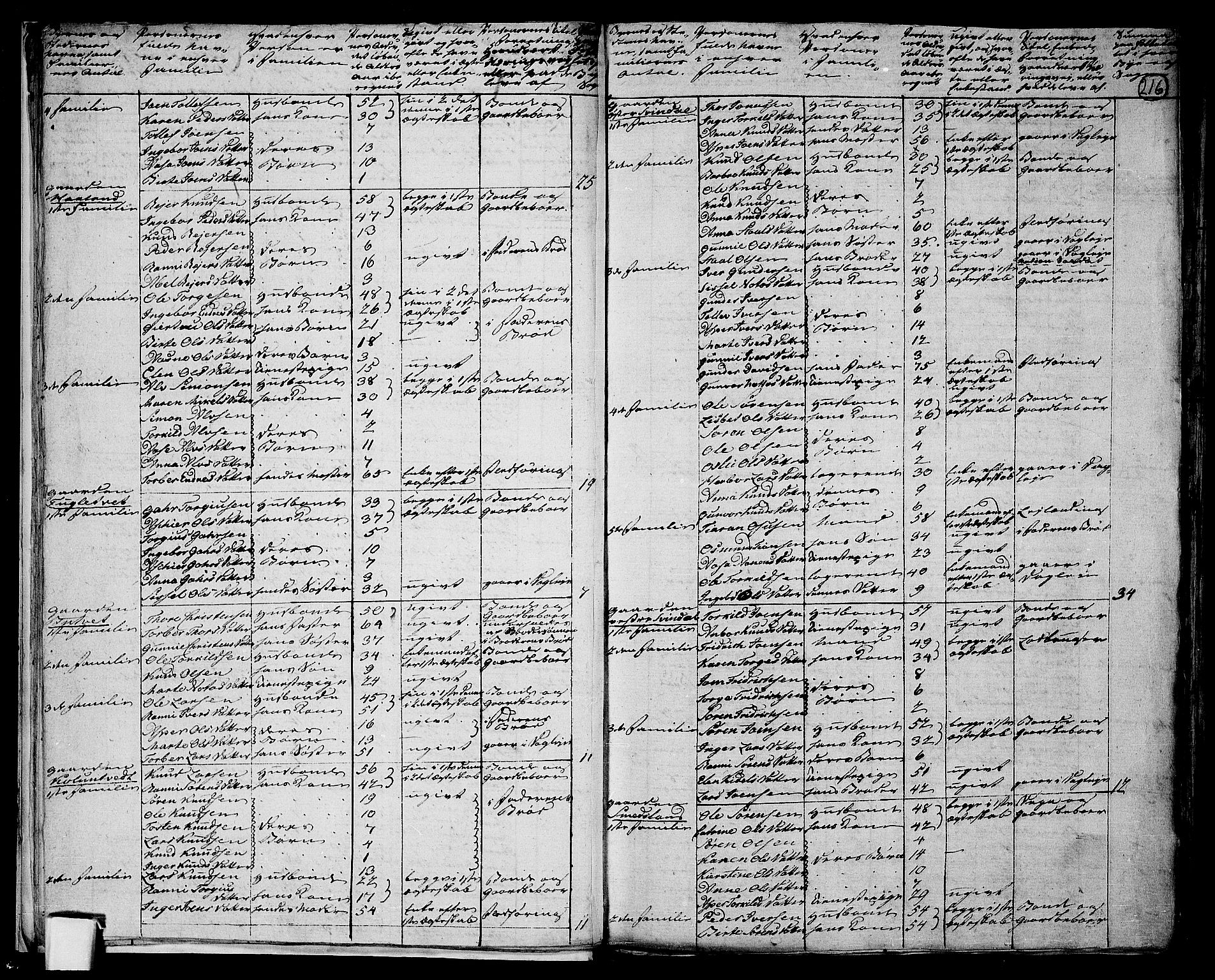 RA, 1801 census for 1024P Bjelland, 1801, p. 215b-216a