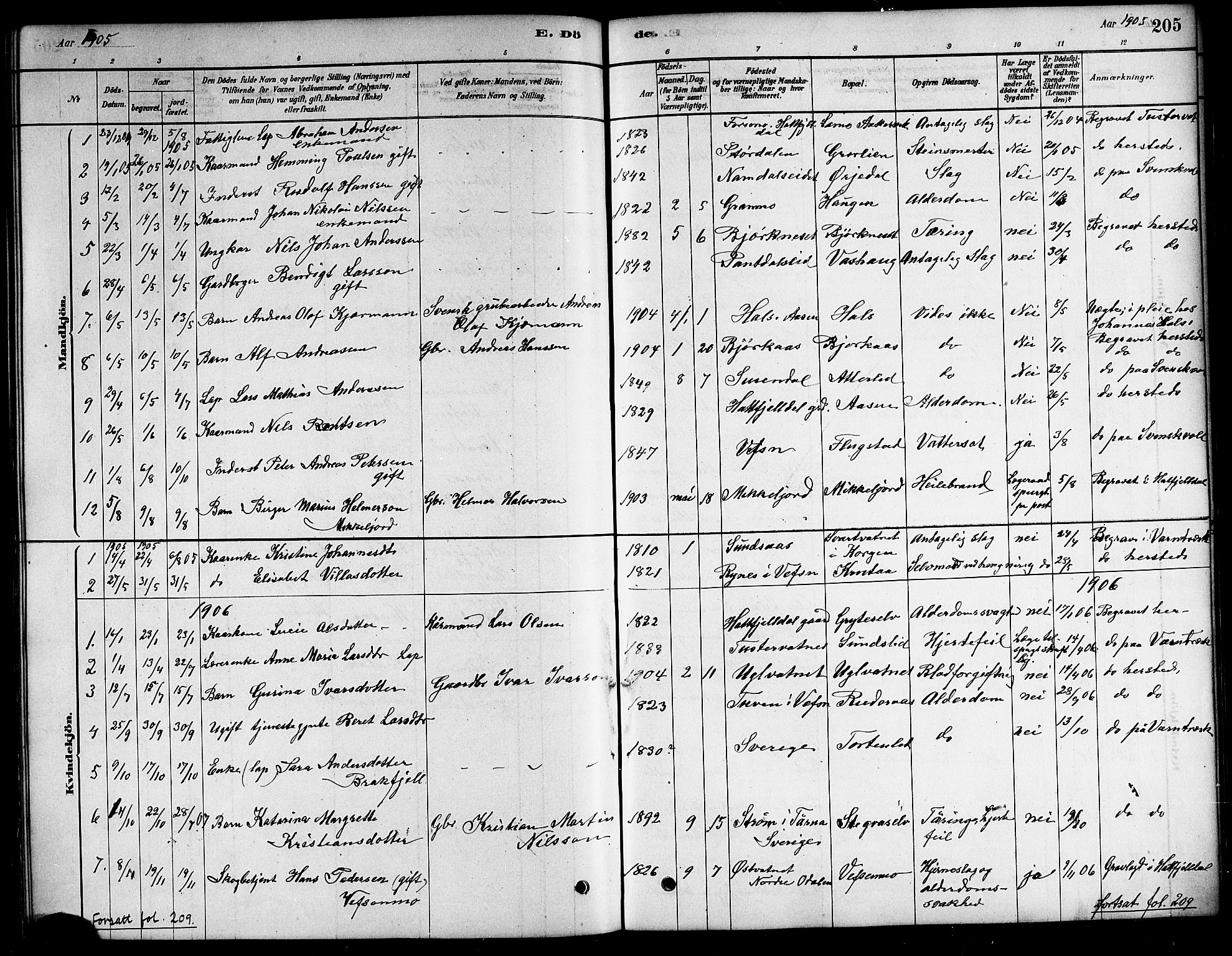 Ministerialprotokoller, klokkerbøker og fødselsregistre - Nordland, SAT/A-1459/823/L0330: Parish register (copy) no. 823C02, 1879-1916, p. 205