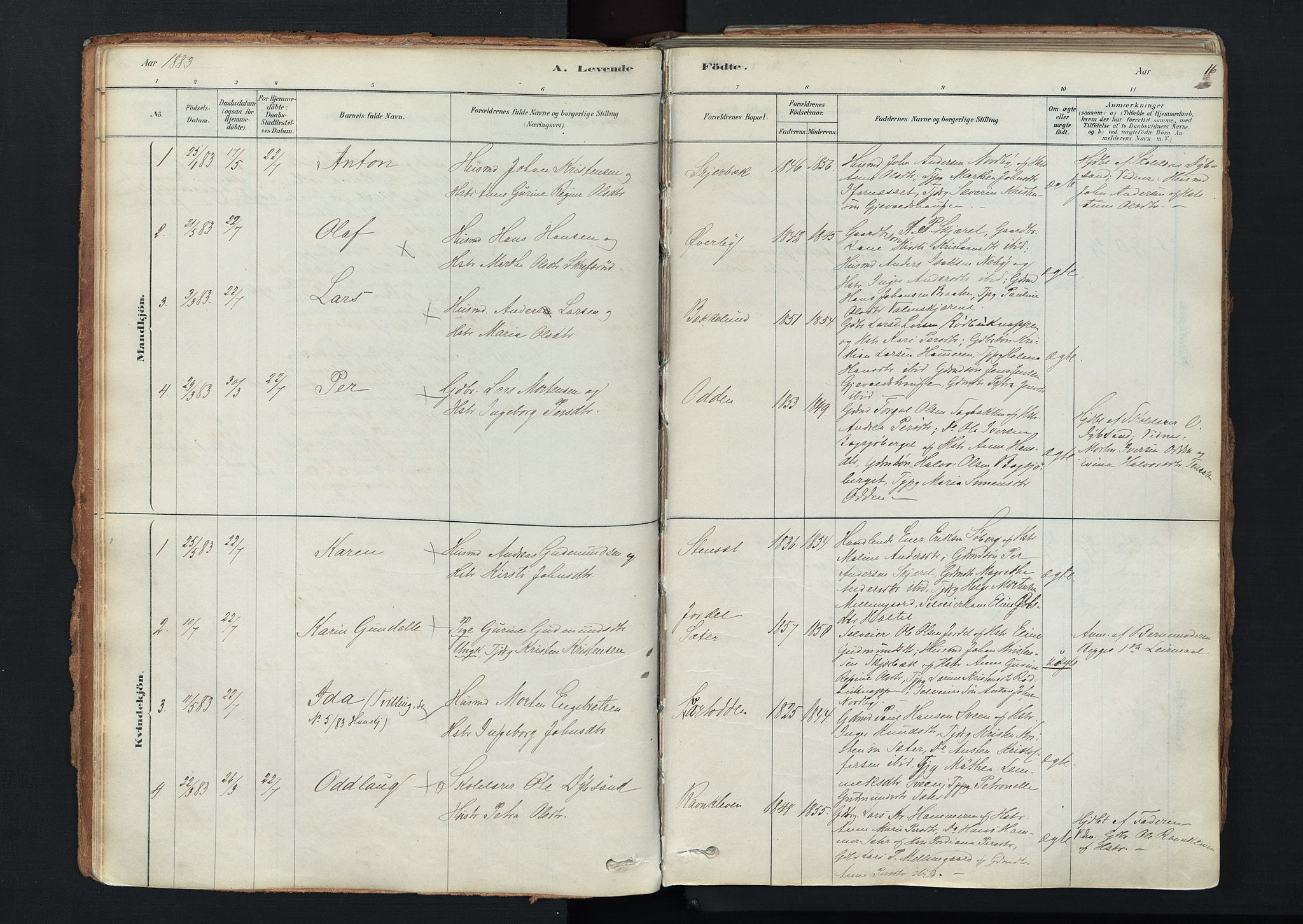 Trysil prestekontor, SAH/PREST-046/H/Ha/Haa/L0011: Parish register (official) no. 11, 1878-1912, p. 16