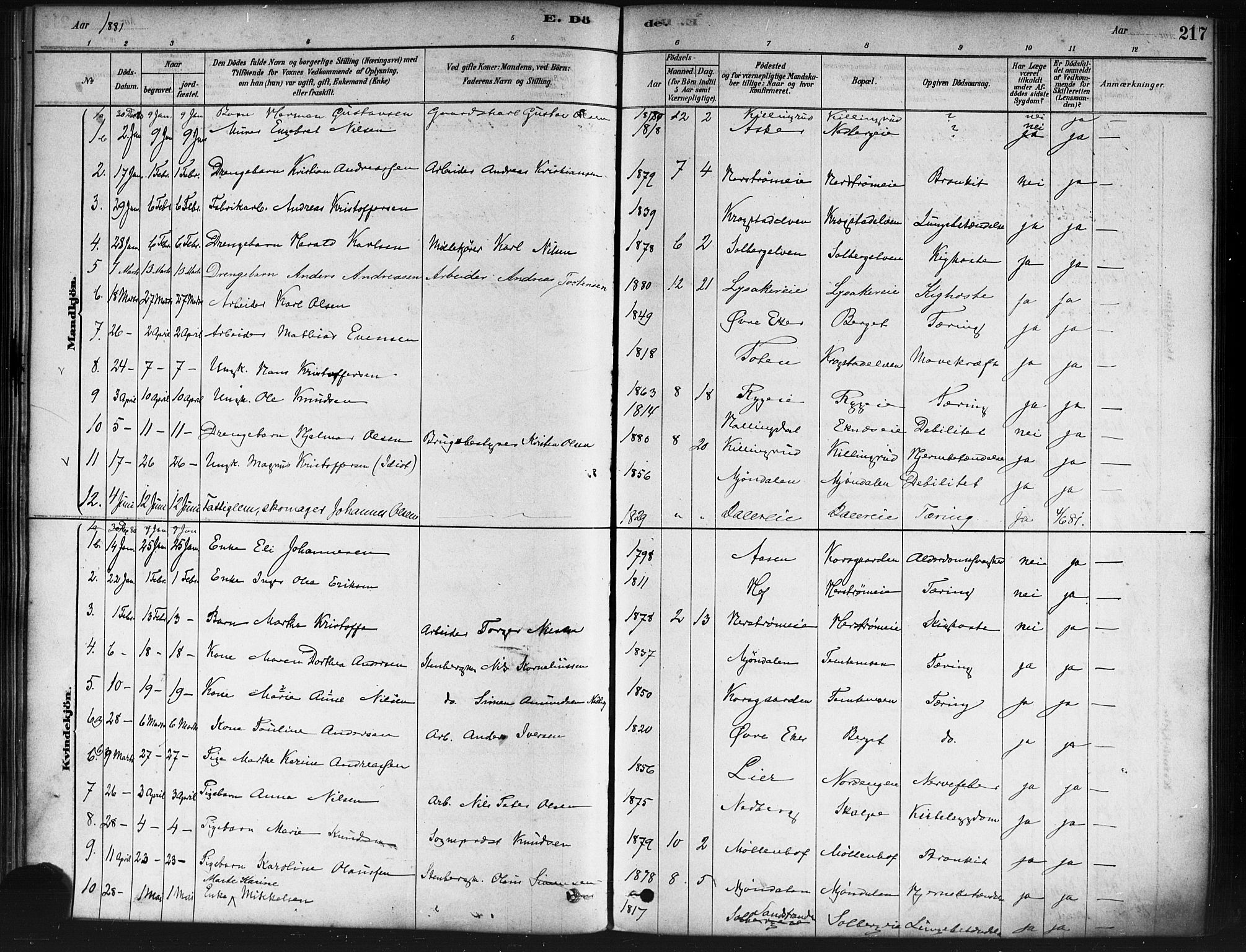 Nedre Eiker kirkebøker, SAKO/A-612/F/Fa/L0002: Parish register (official) no. 2, 1878-1885, p. 217
