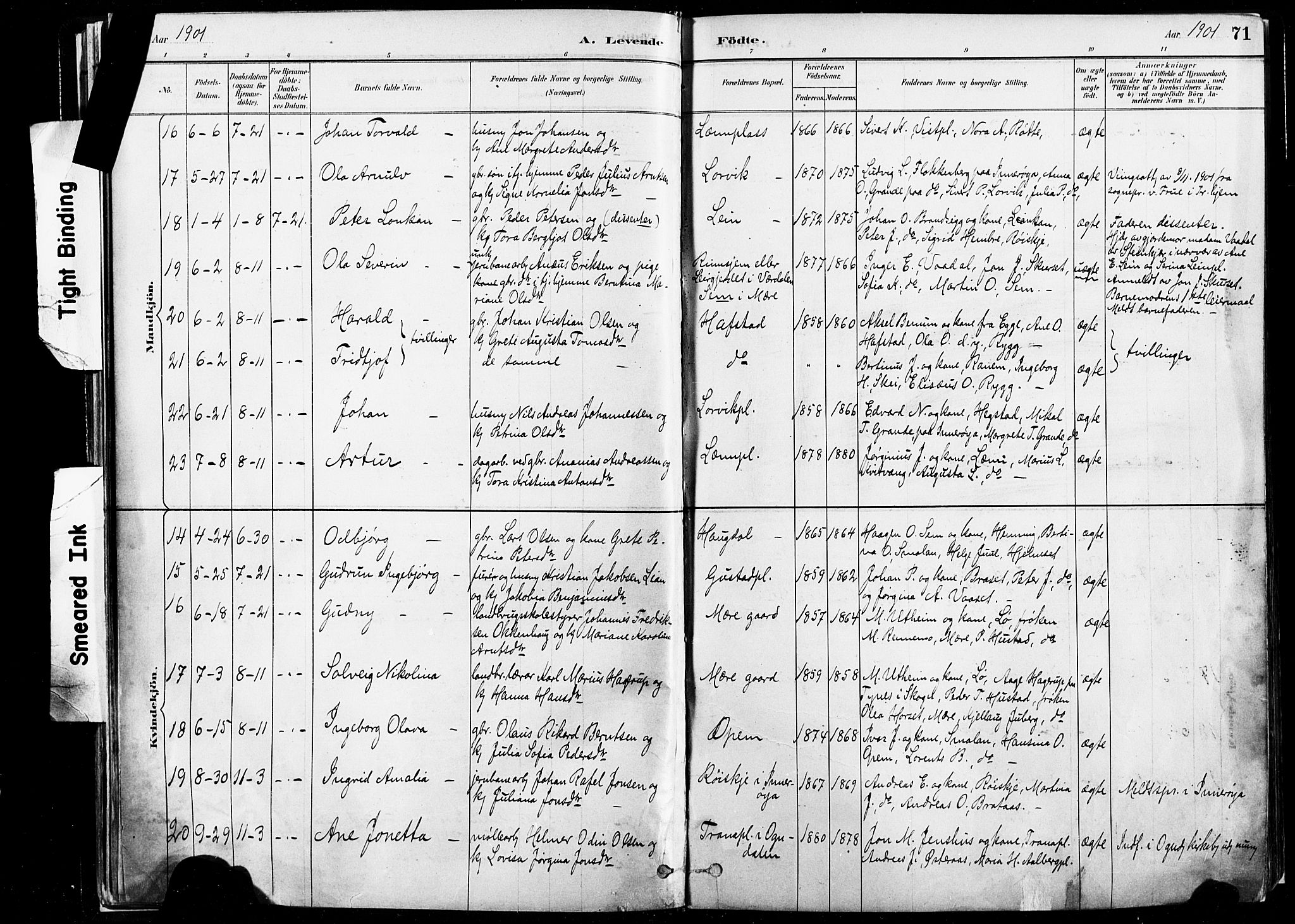 Ministerialprotokoller, klokkerbøker og fødselsregistre - Nord-Trøndelag, AV/SAT-A-1458/735/L0351: Parish register (official) no. 735A10, 1884-1908, p. 71