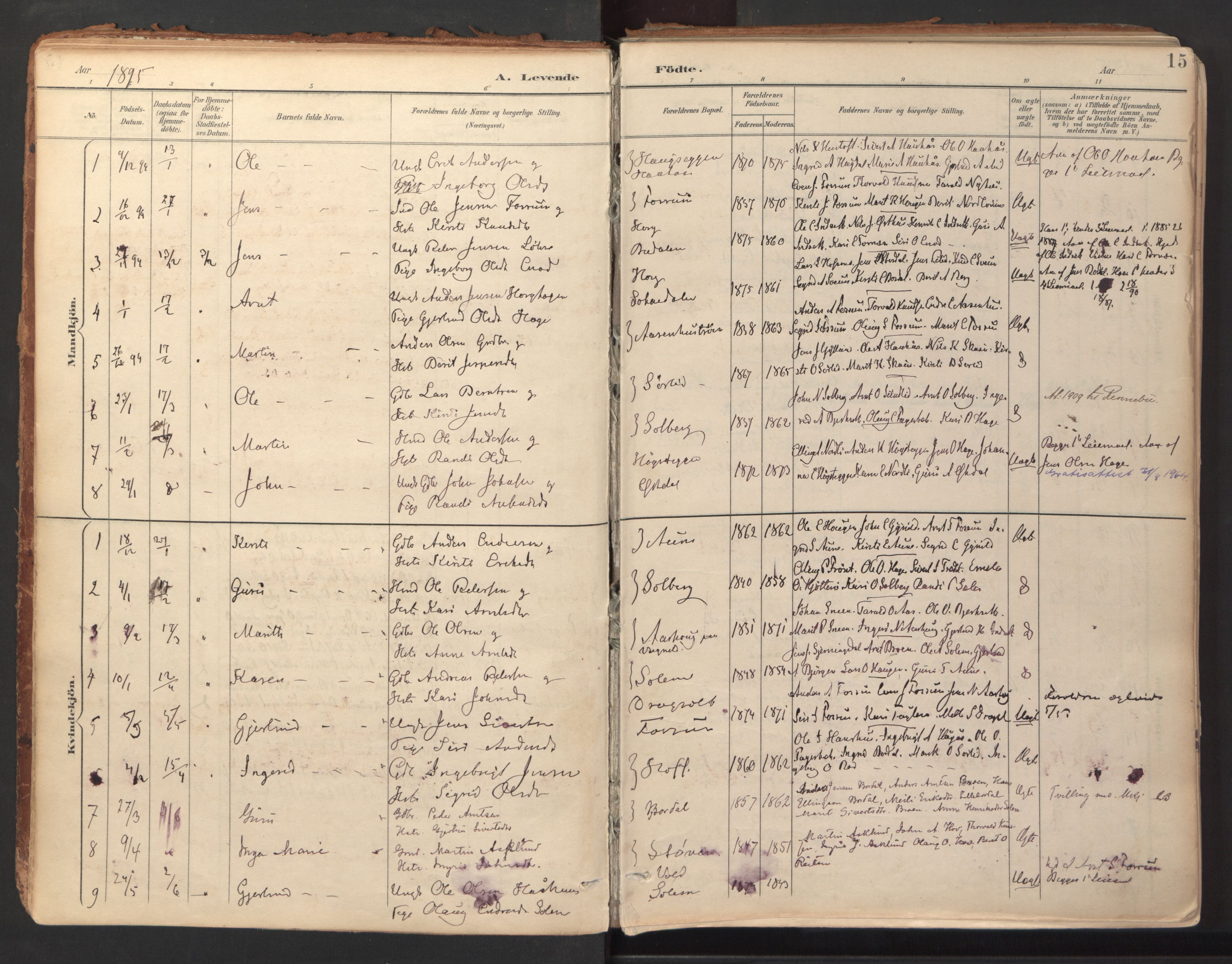 Ministerialprotokoller, klokkerbøker og fødselsregistre - Sør-Trøndelag, SAT/A-1456/689/L1041: Parish register (official) no. 689A06, 1891-1923, p. 15