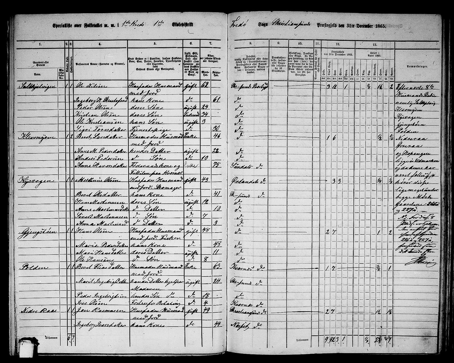 RA, 1865 census for Kristiansund/Frei og Grip, 1865, p. 8